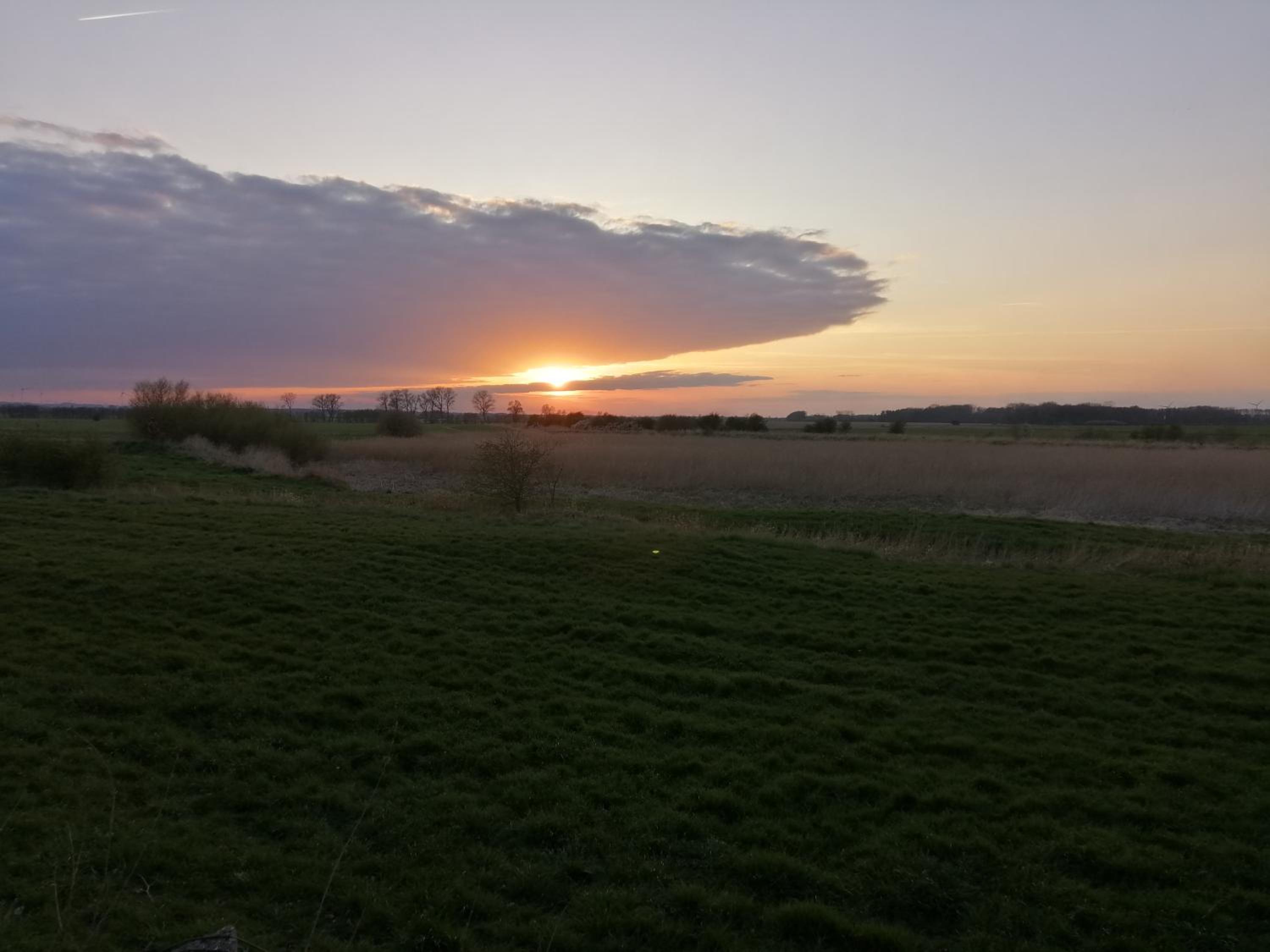 Photo 35