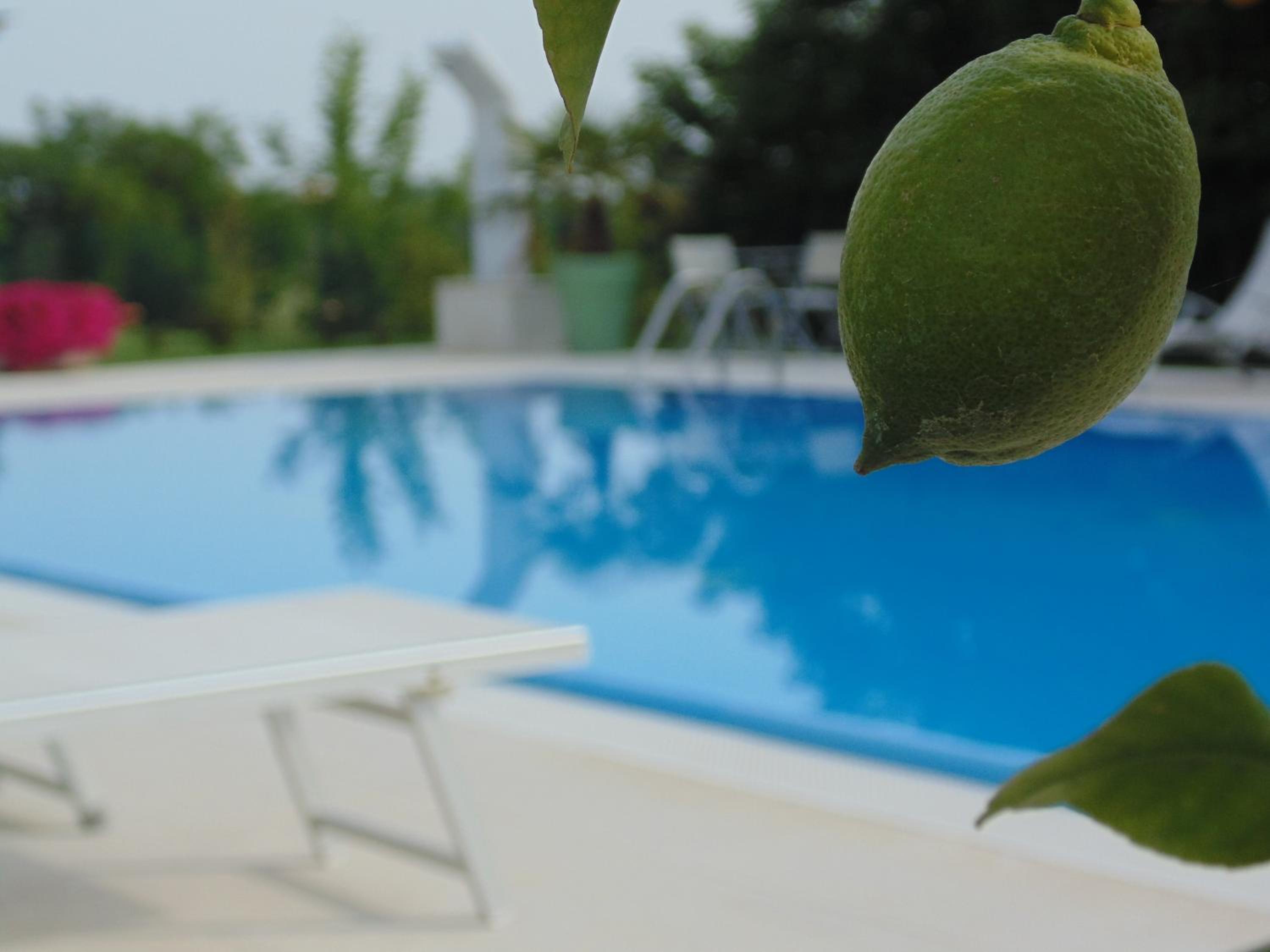 Agriturismo Dell'Orto Apartments