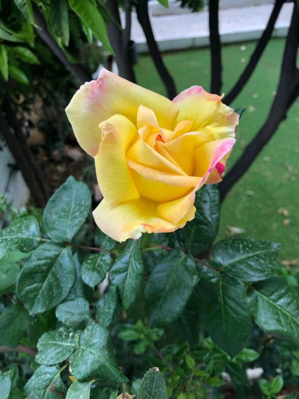 Photo 47