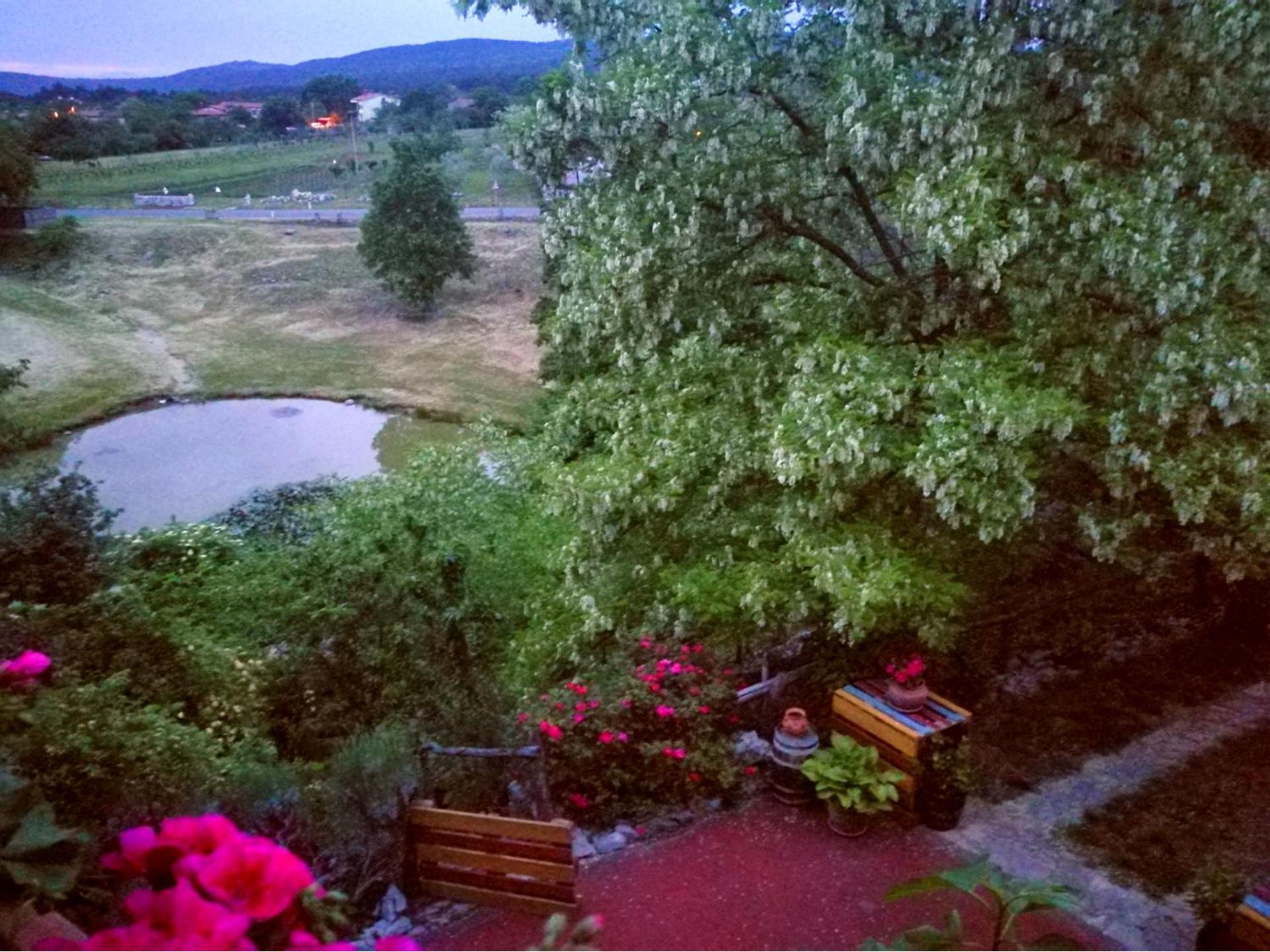 Photo 42