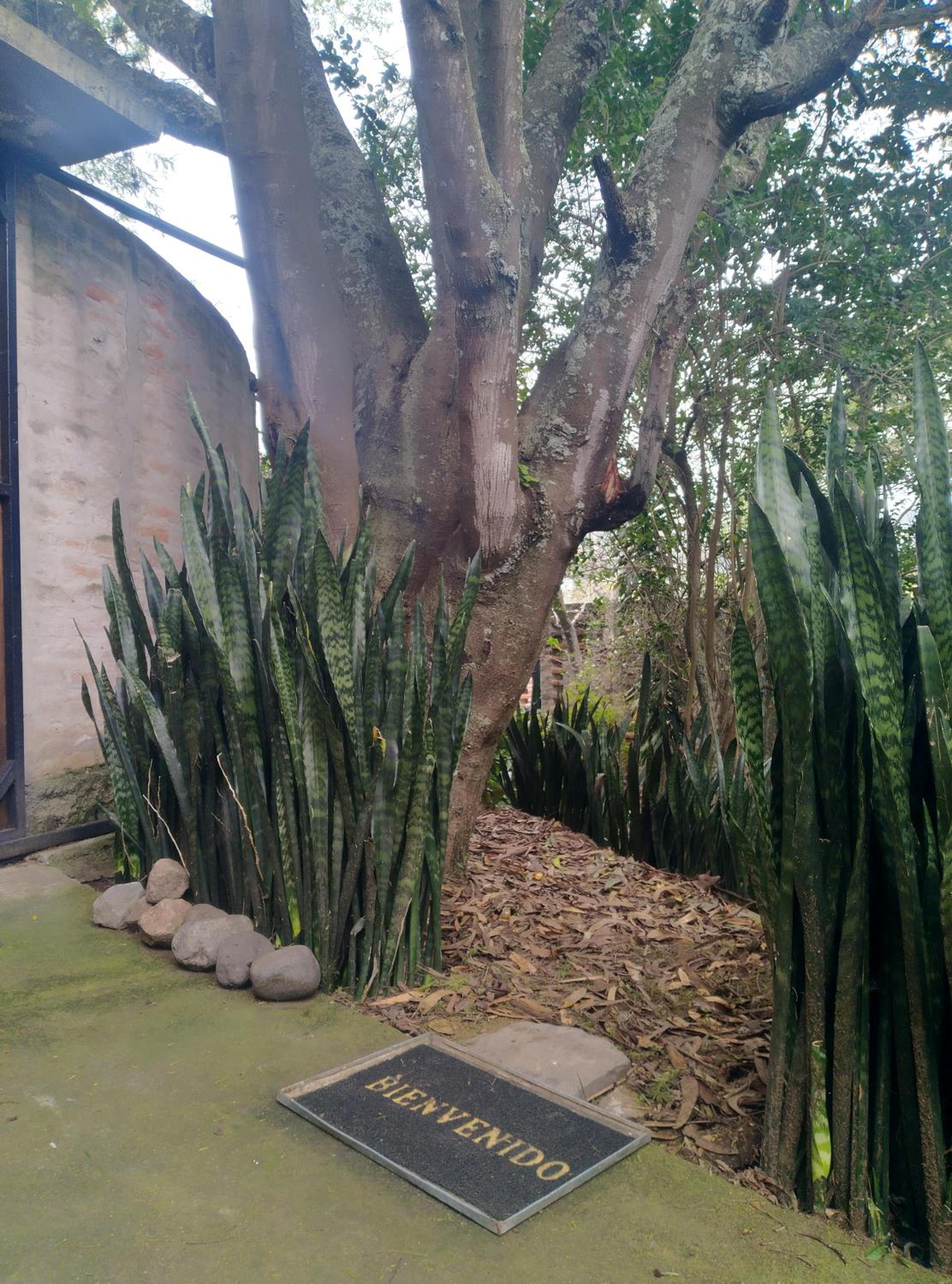 Photo 11