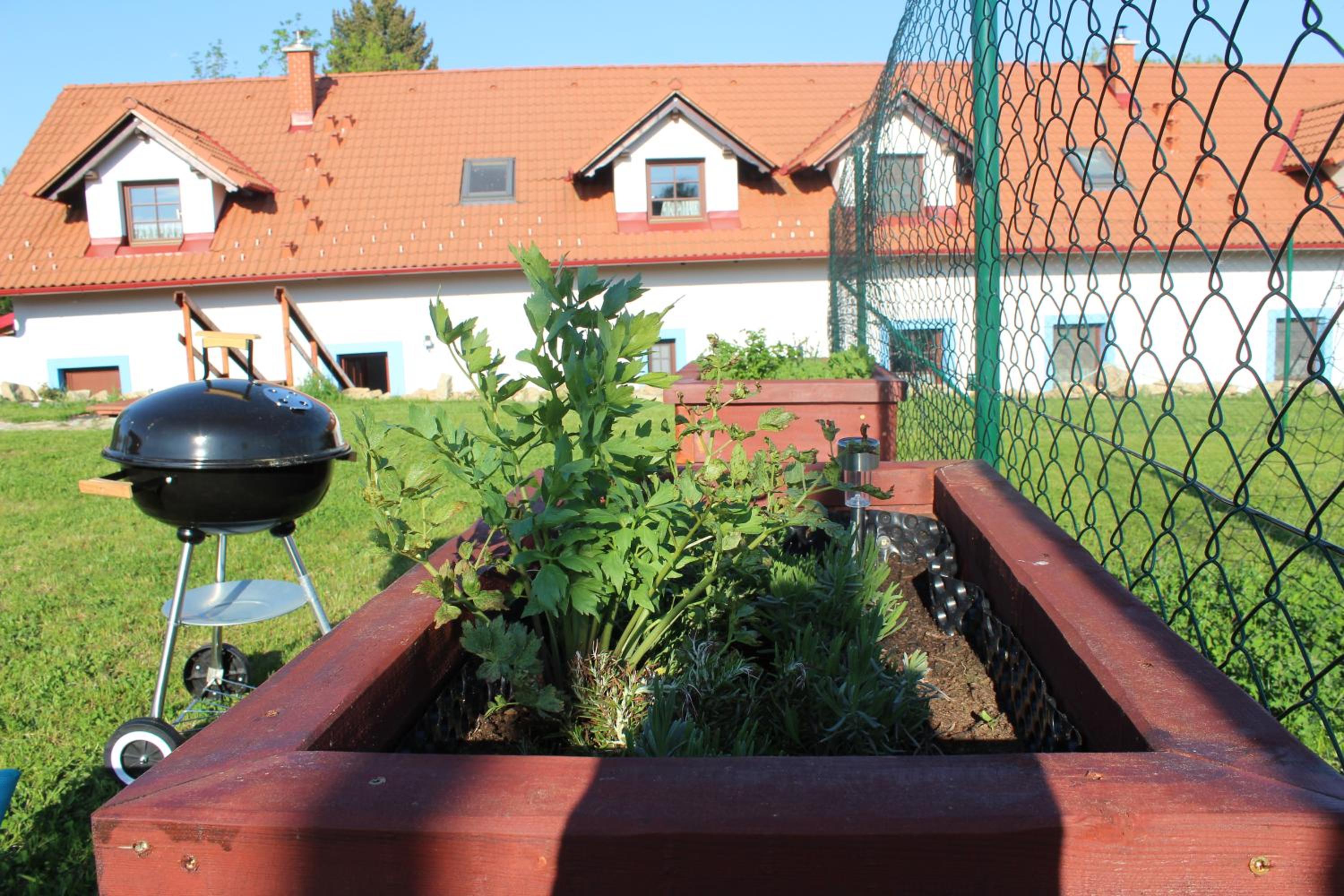 Photo 11