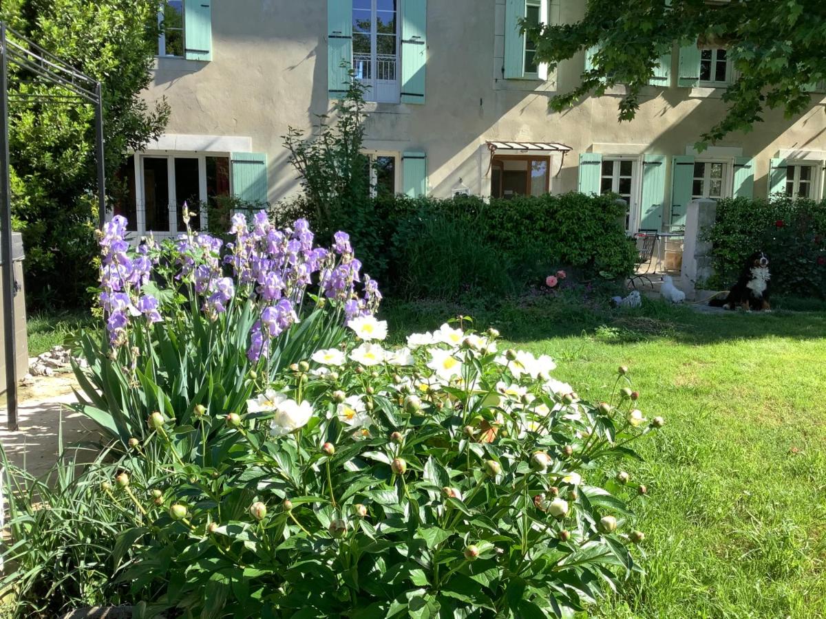 Photo 44