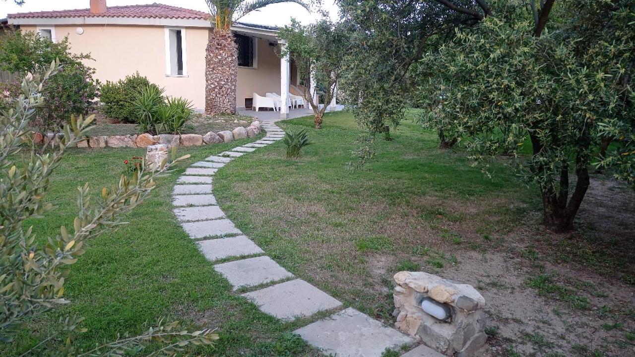Photo 24
