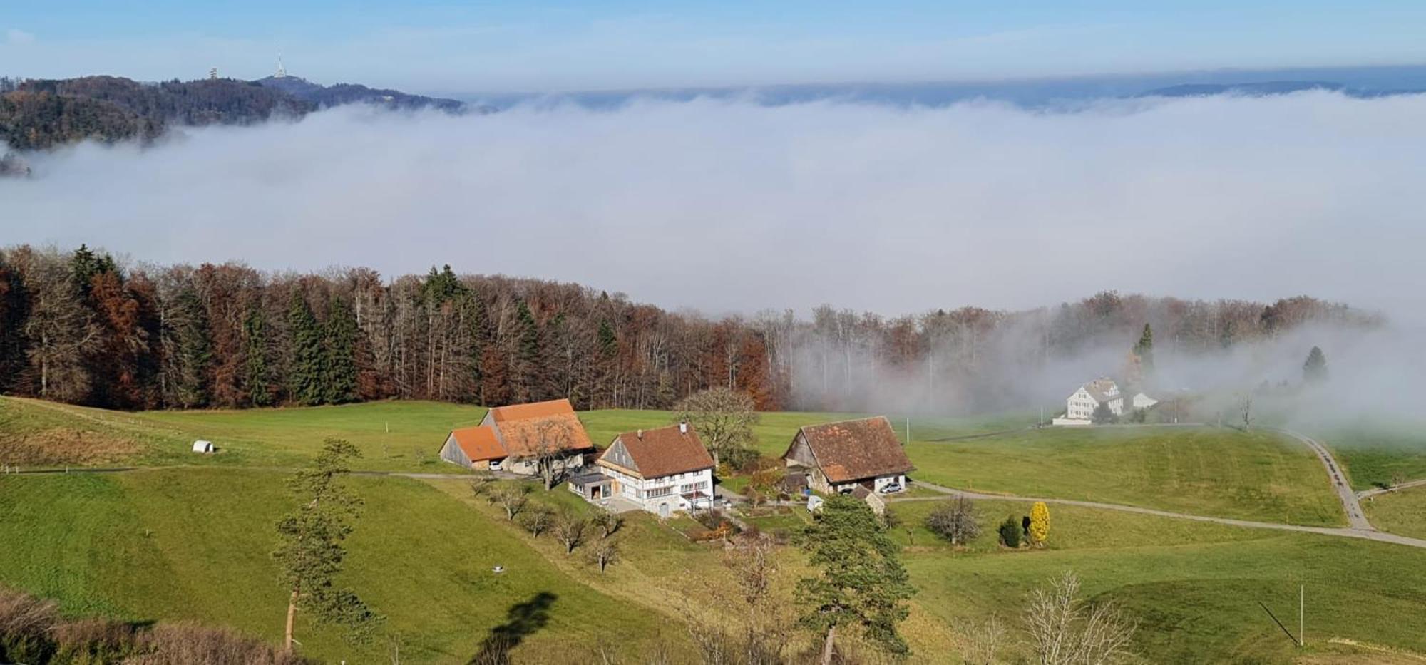 Historisches Doppel - Riegelbauernhaus