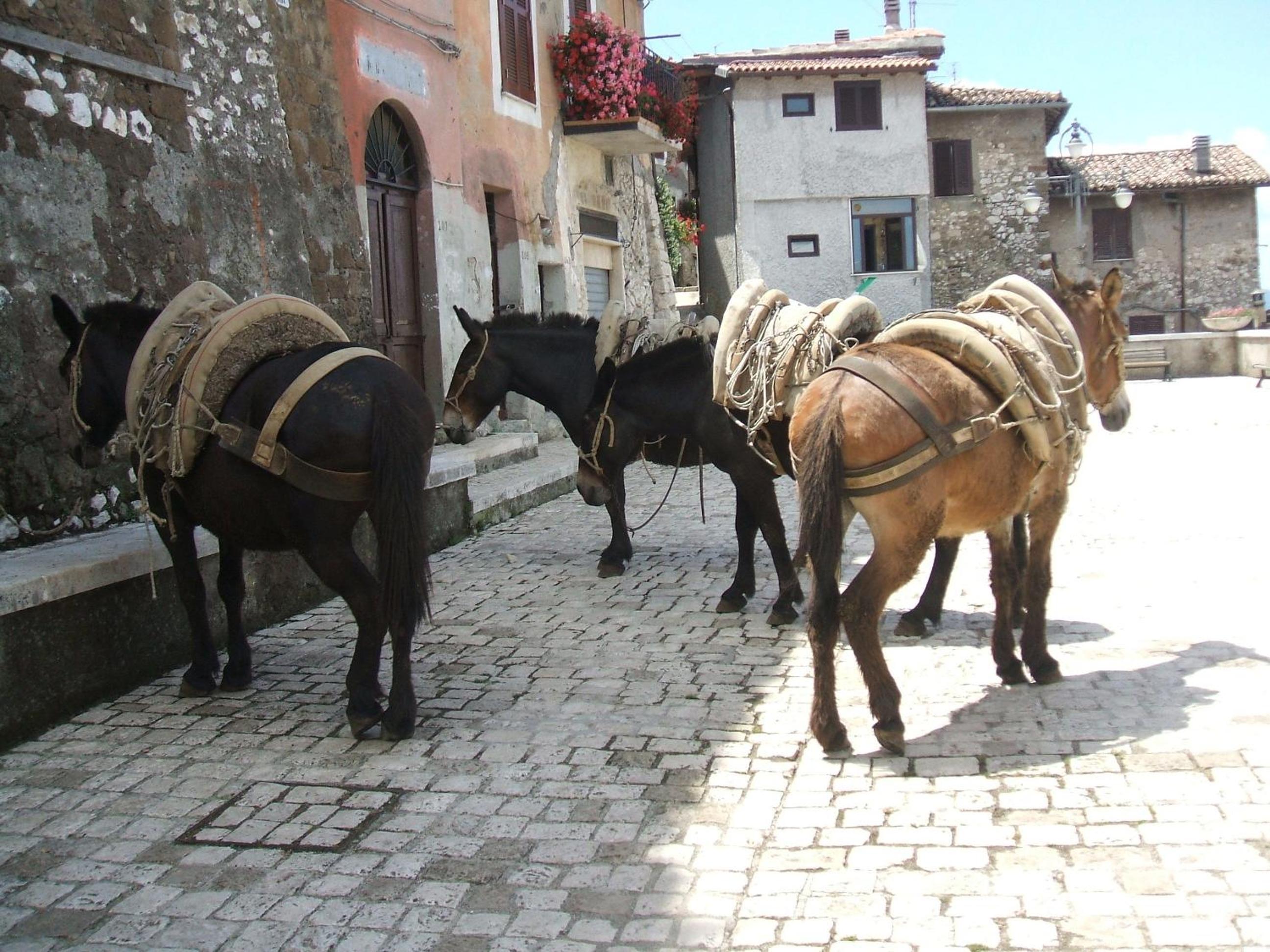 Rupe Antica, photo 20