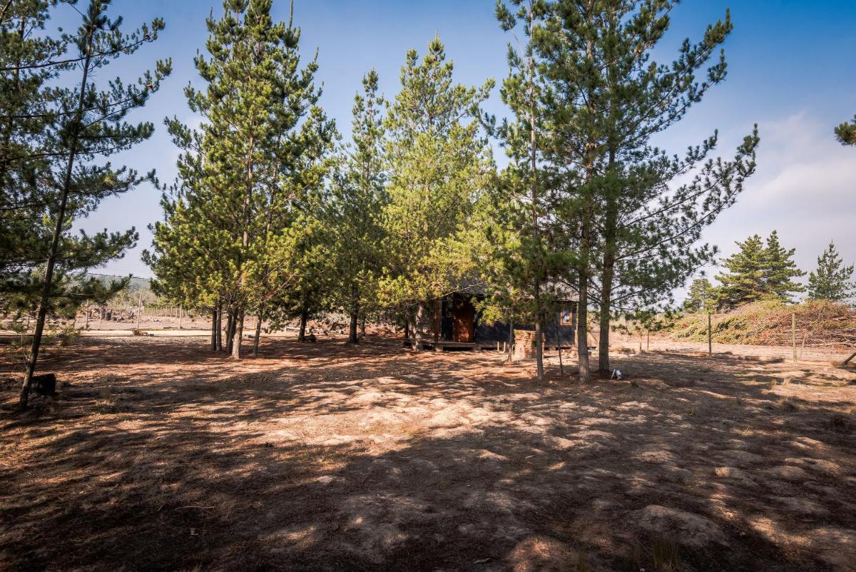Tiny house Riveras Rentals