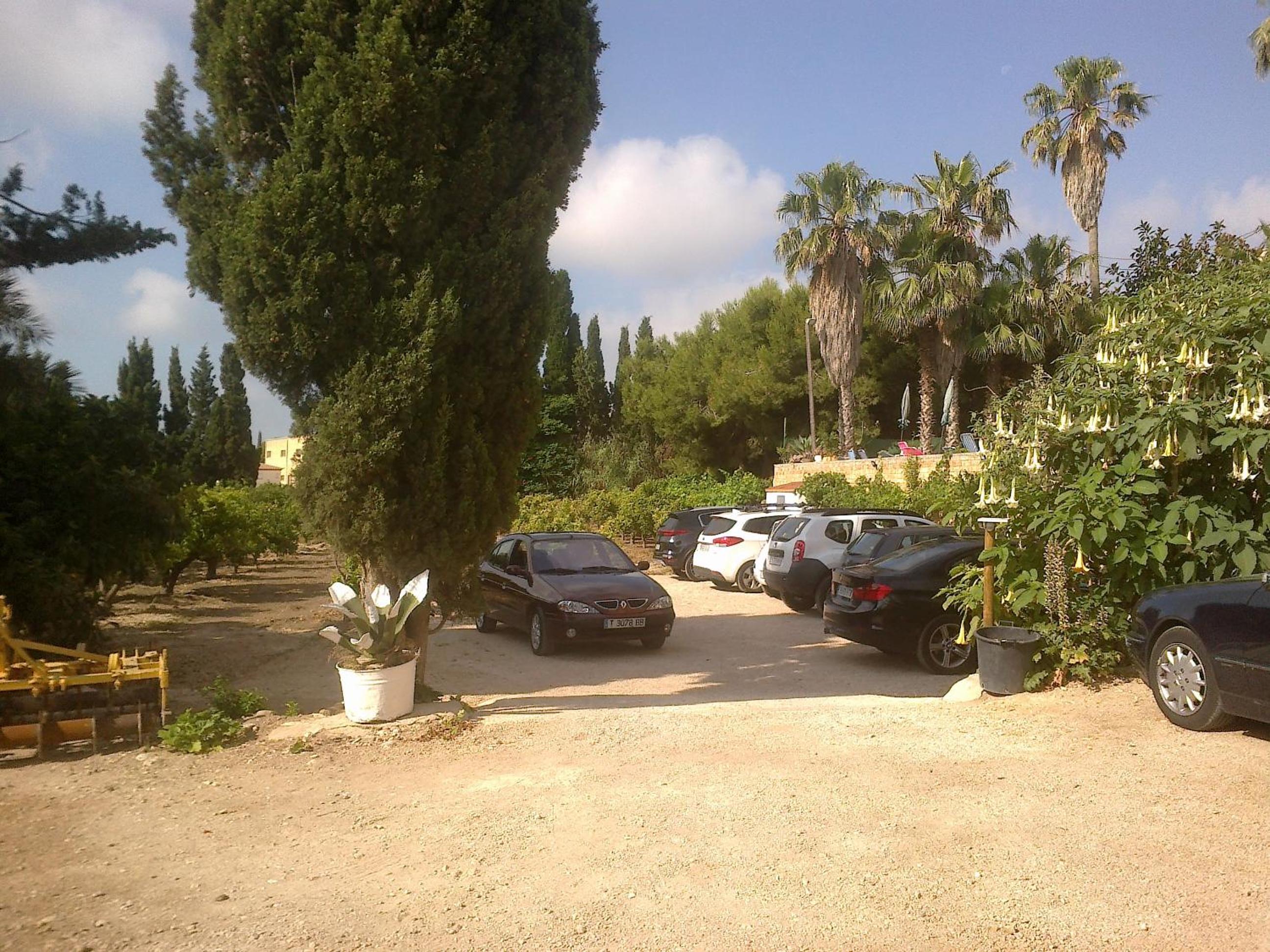 Photo 41