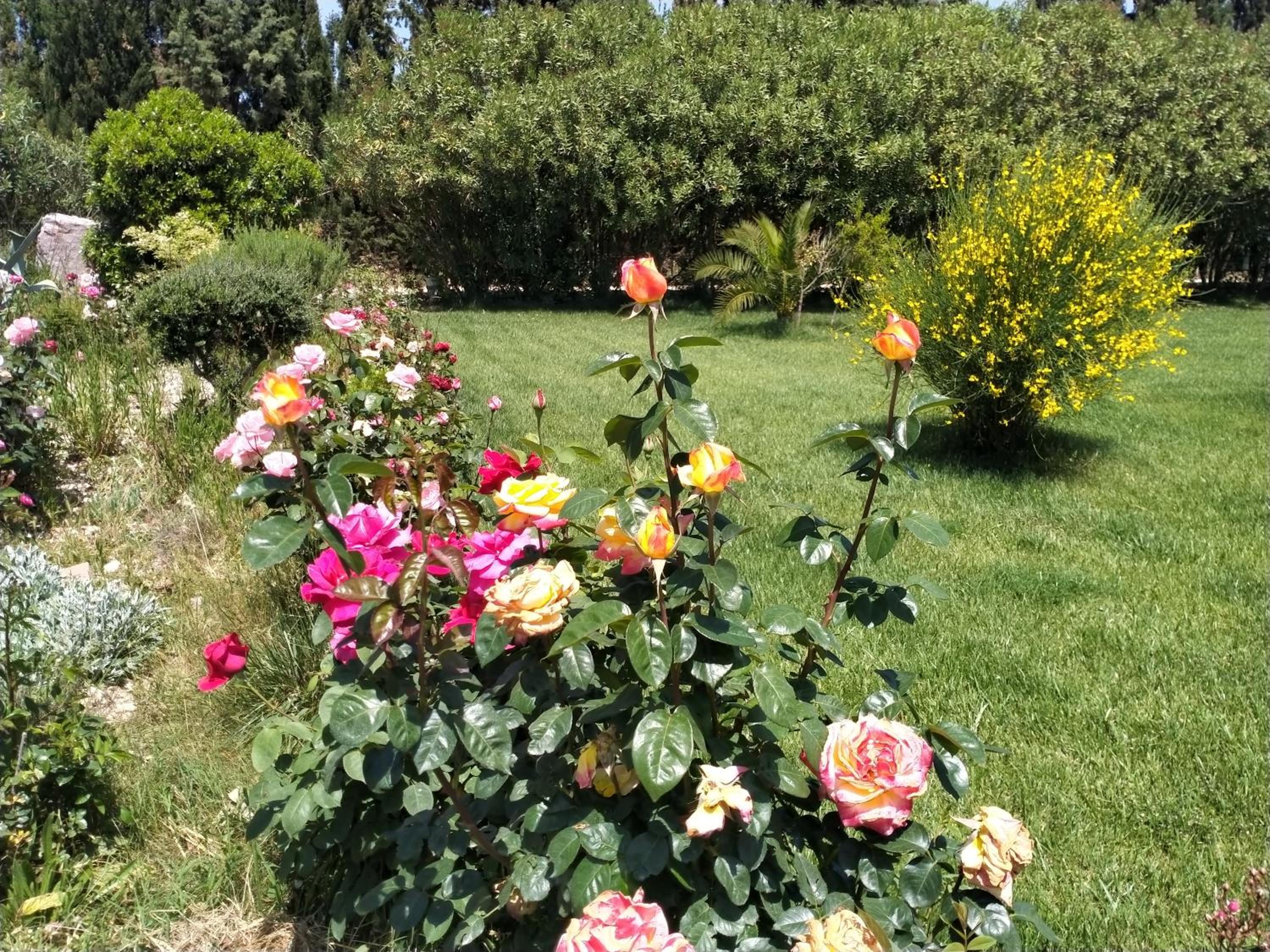 Photo 27