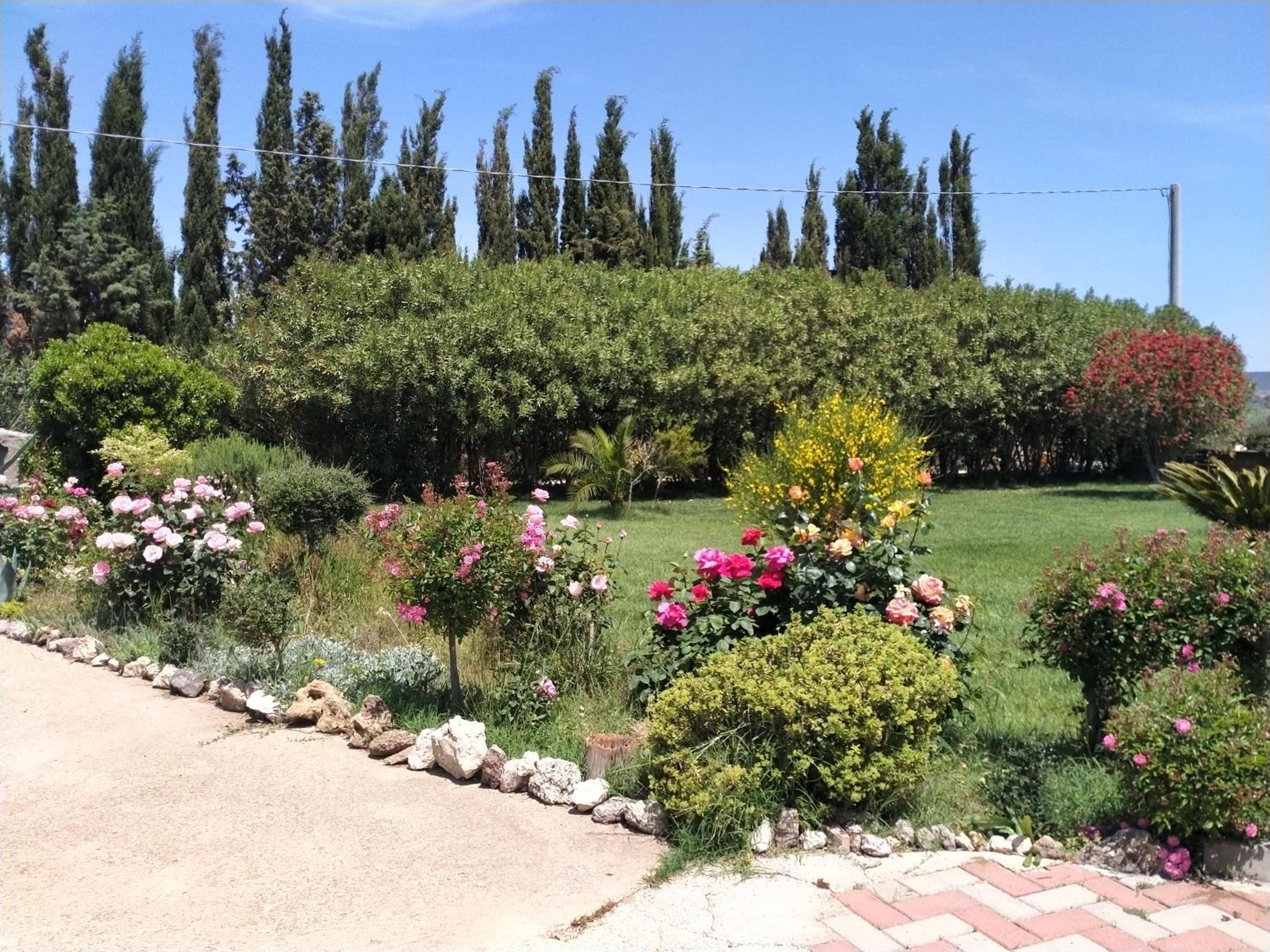 Photo 25