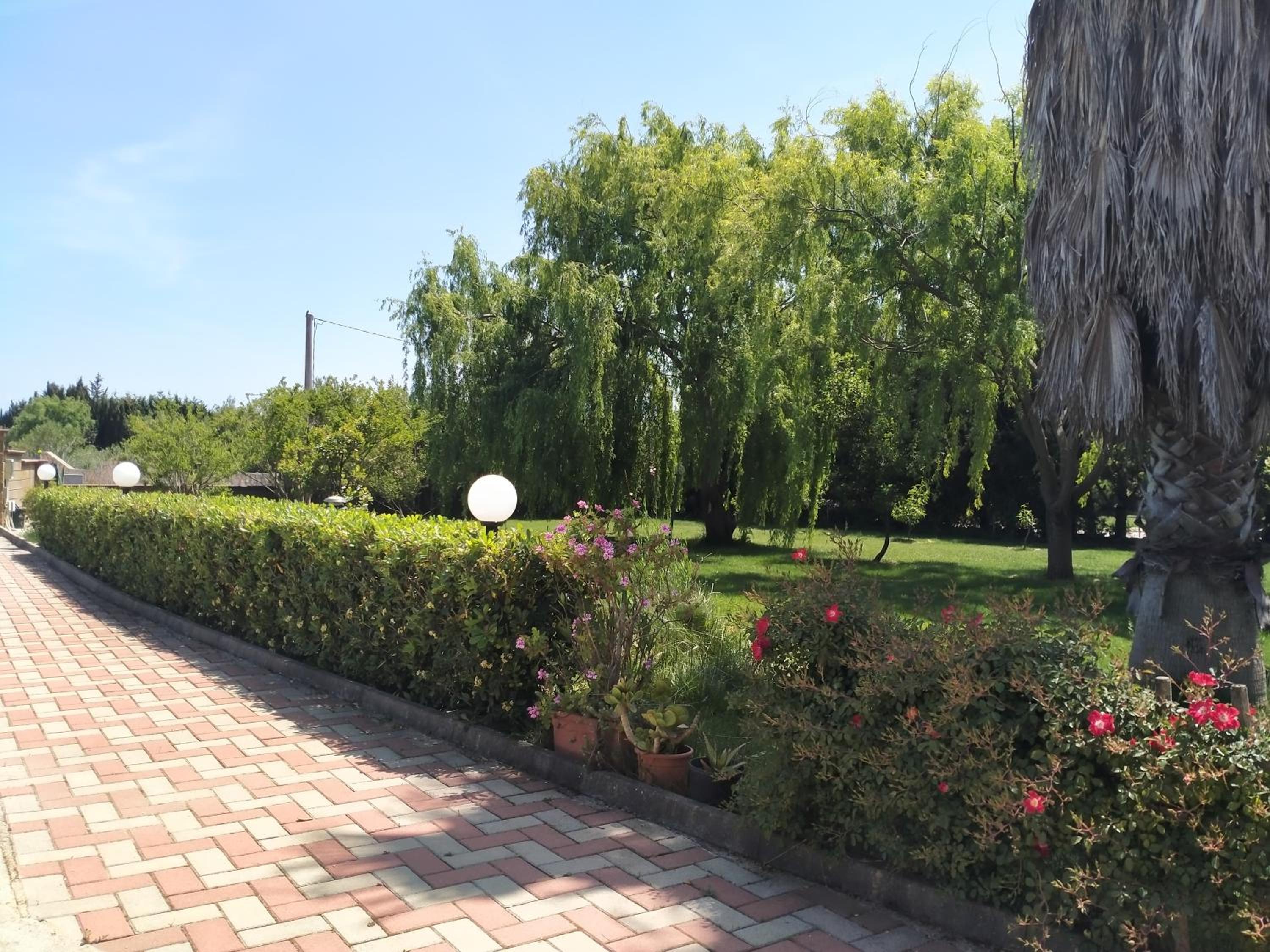 Photo 24