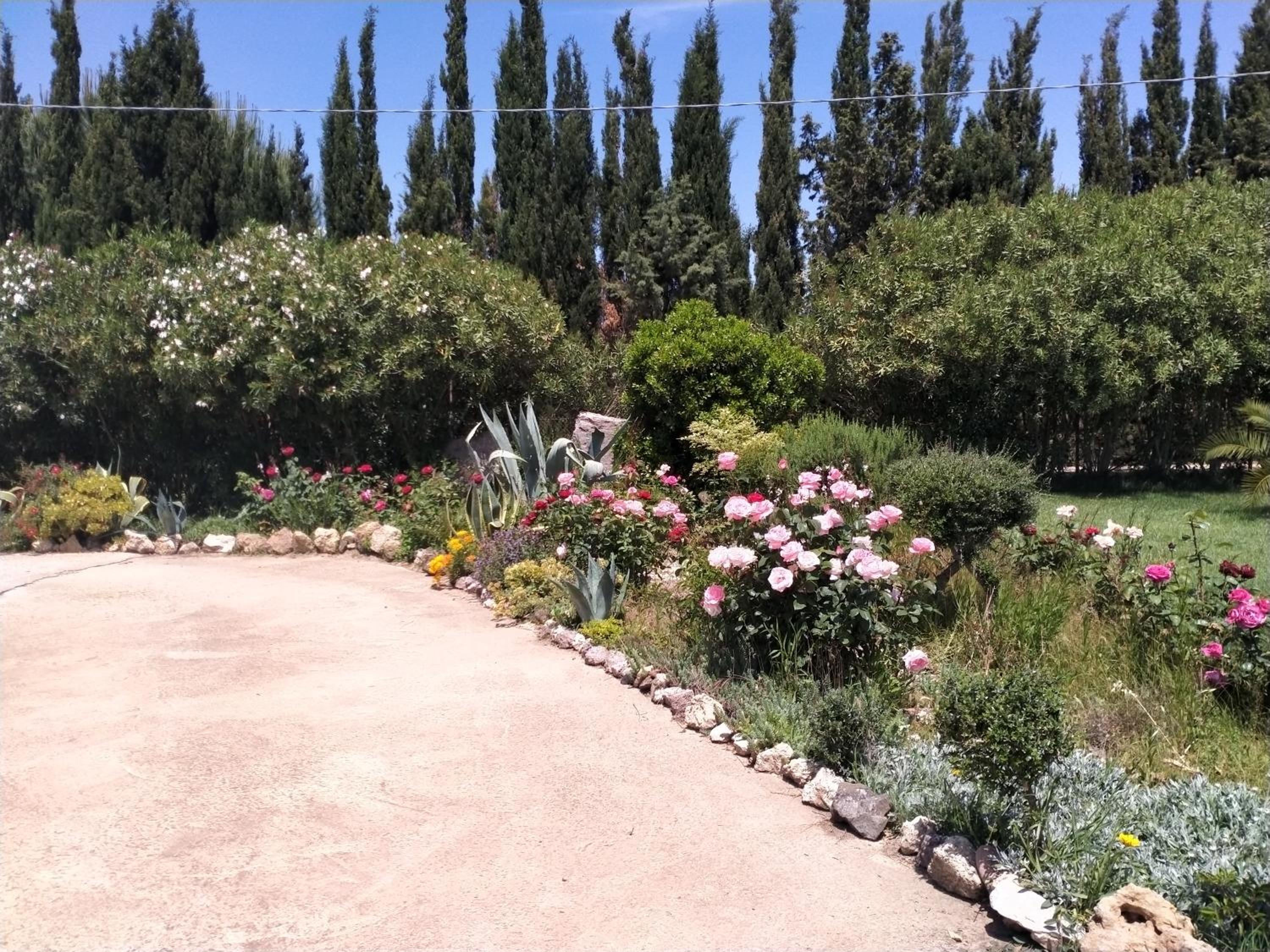 Photo 23