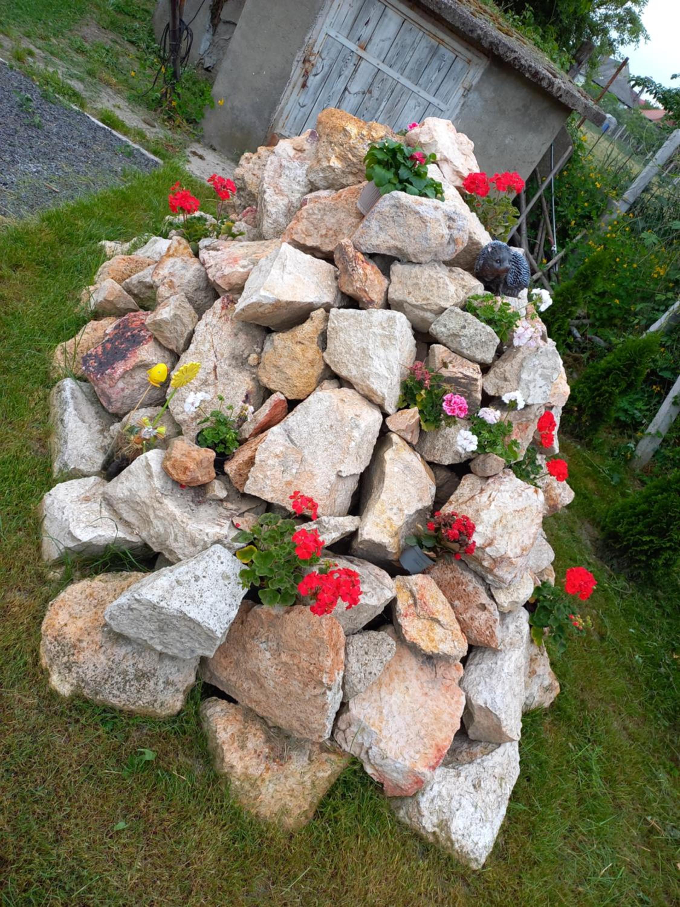Photo 17