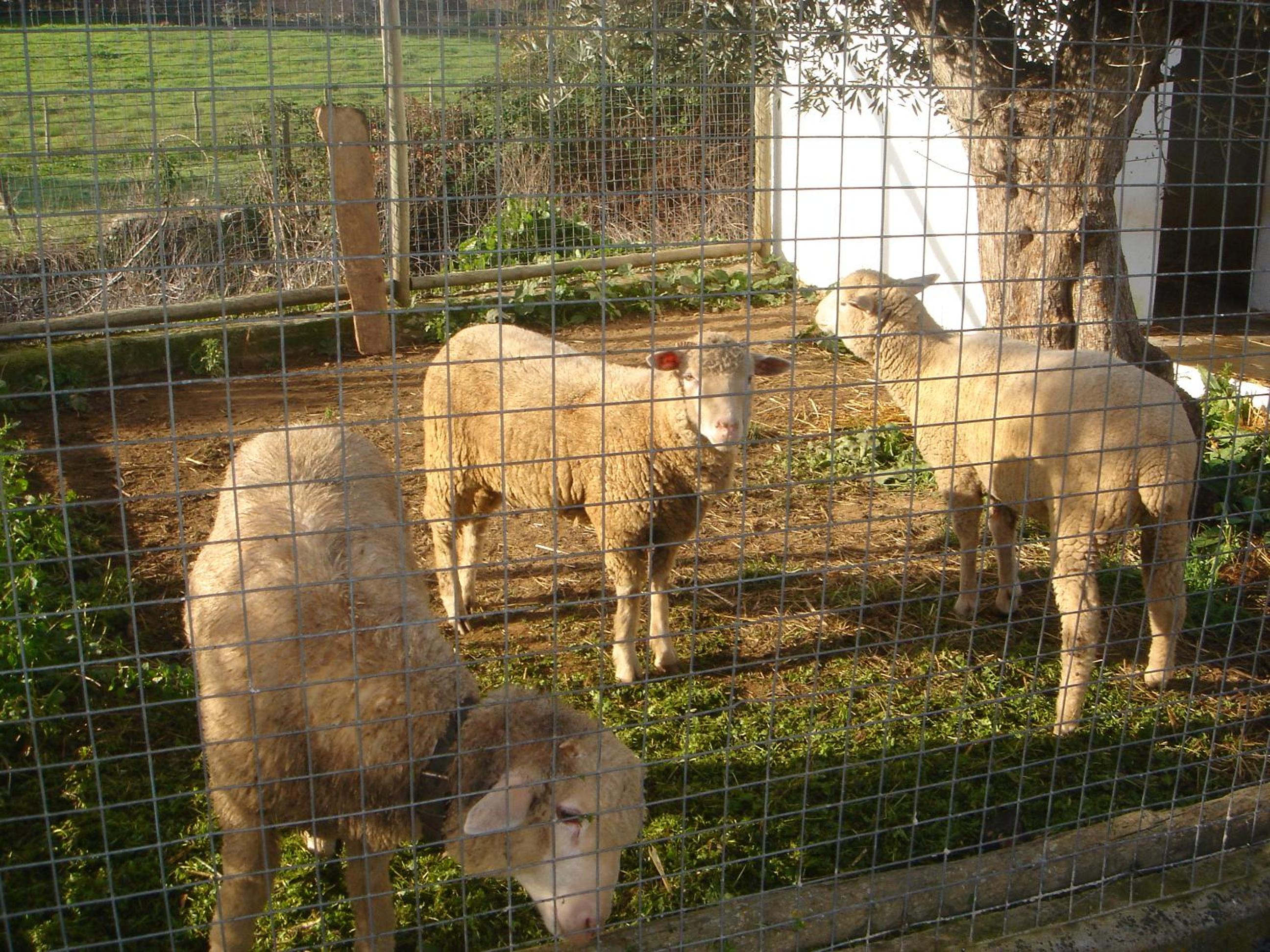 Photo 22