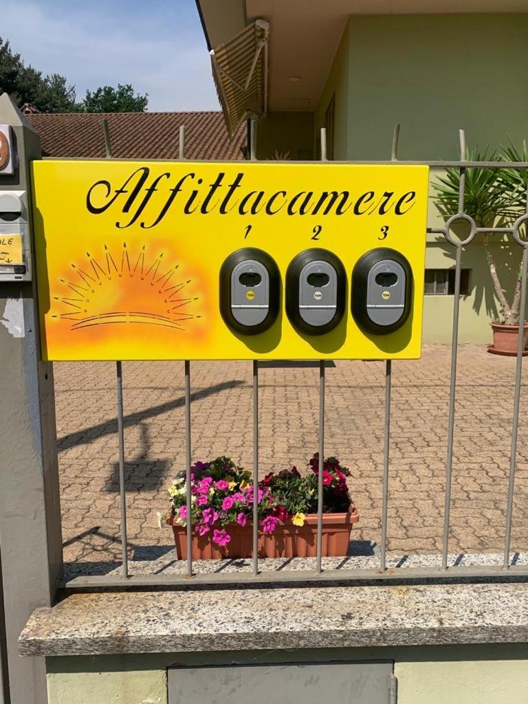 Sole