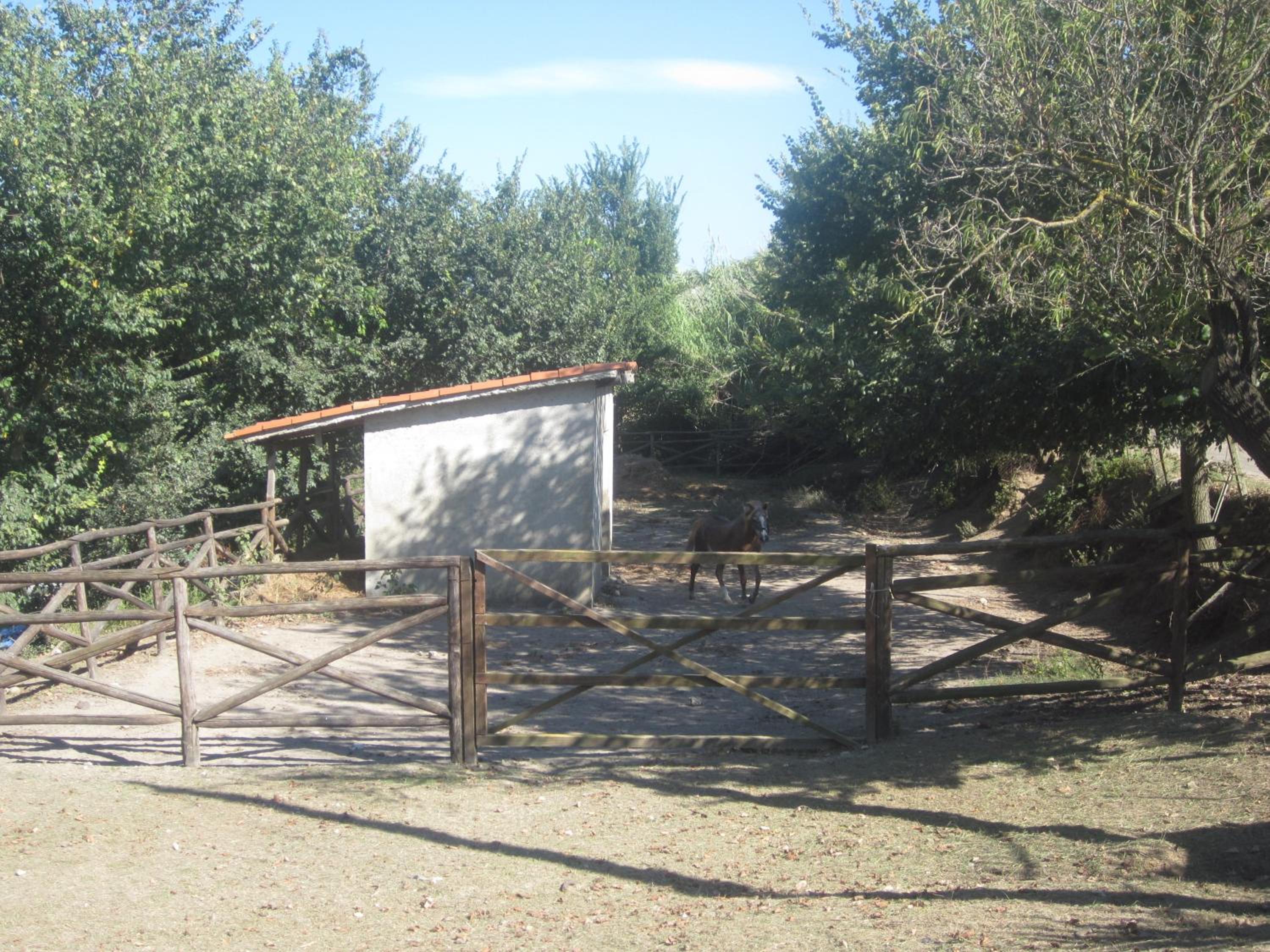 Photo 27
