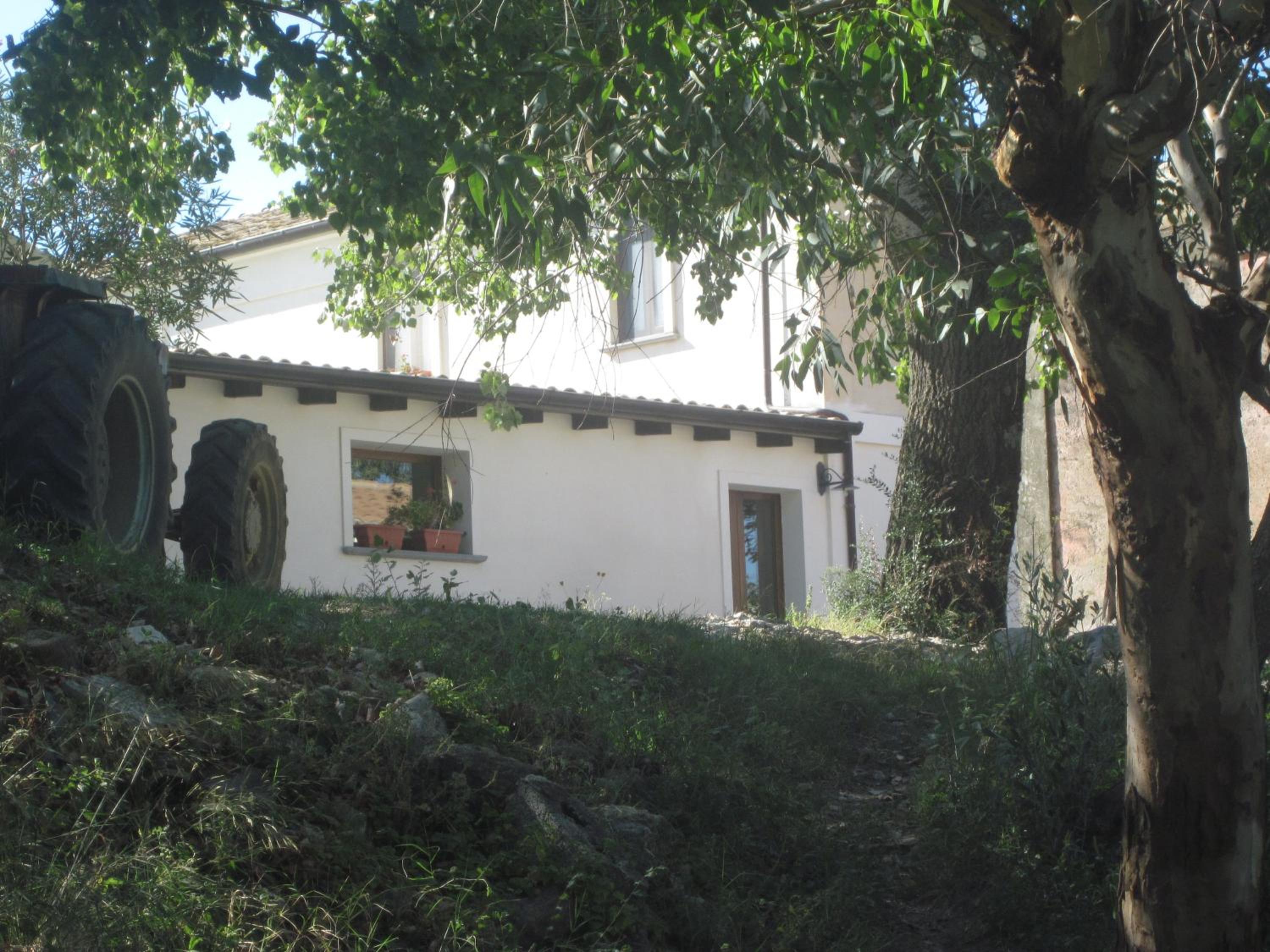 Photo 29