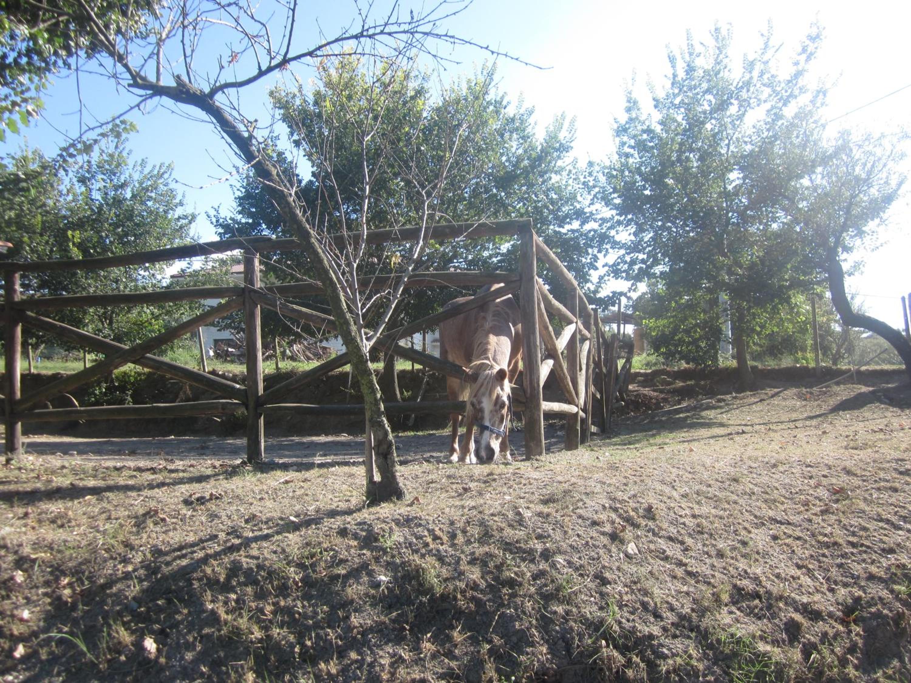 Photo 28