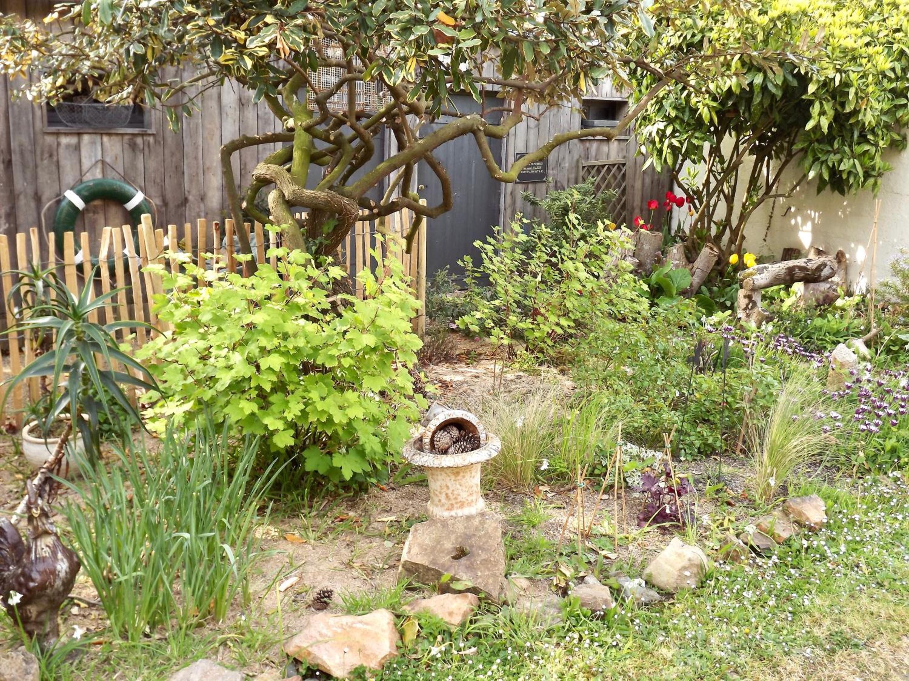 Photo 18