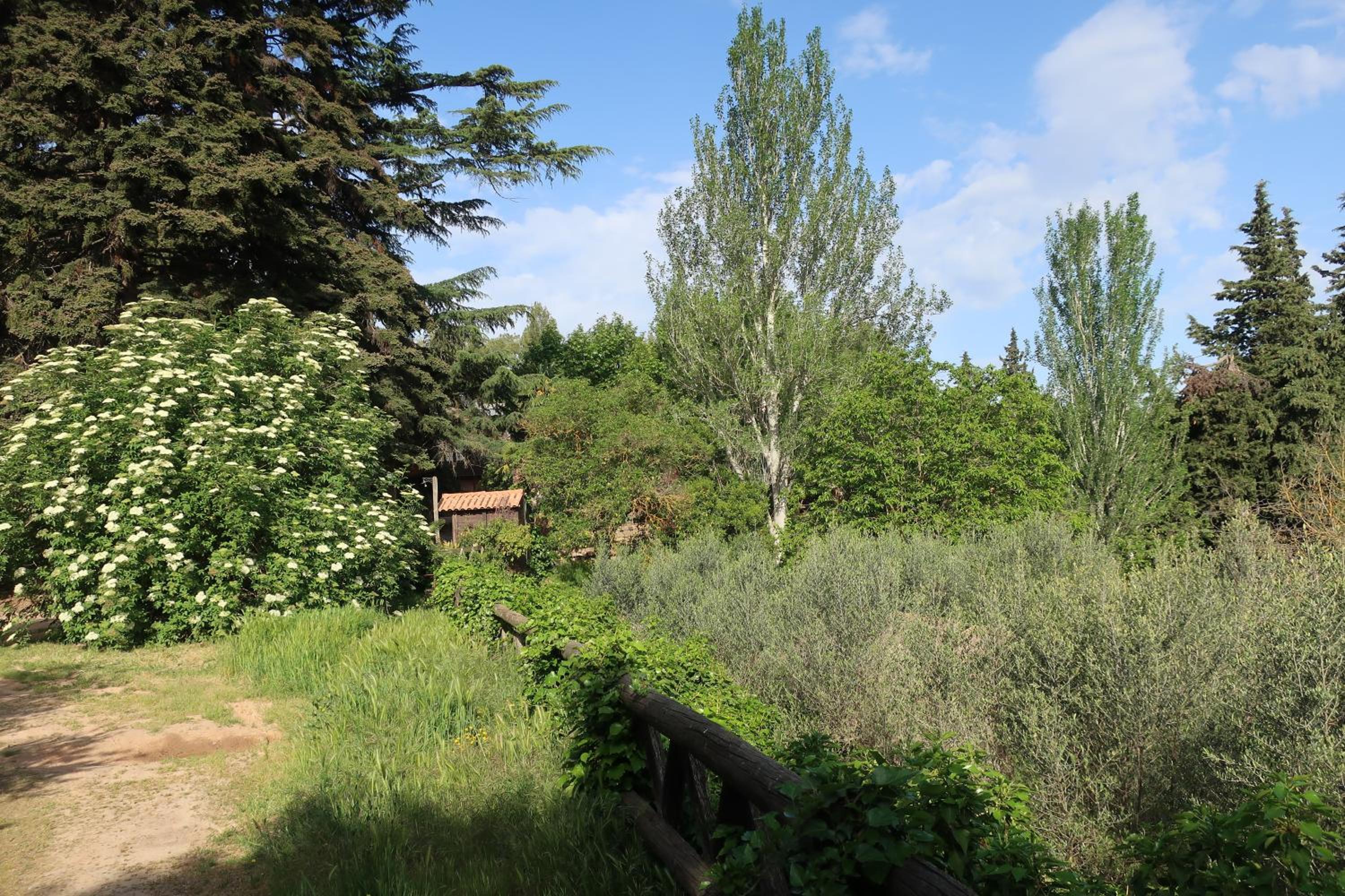 Photo 27