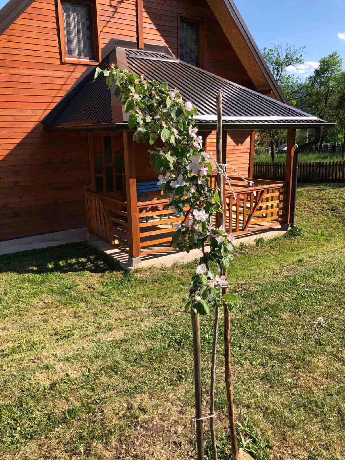 Apartmani Milekić view 5