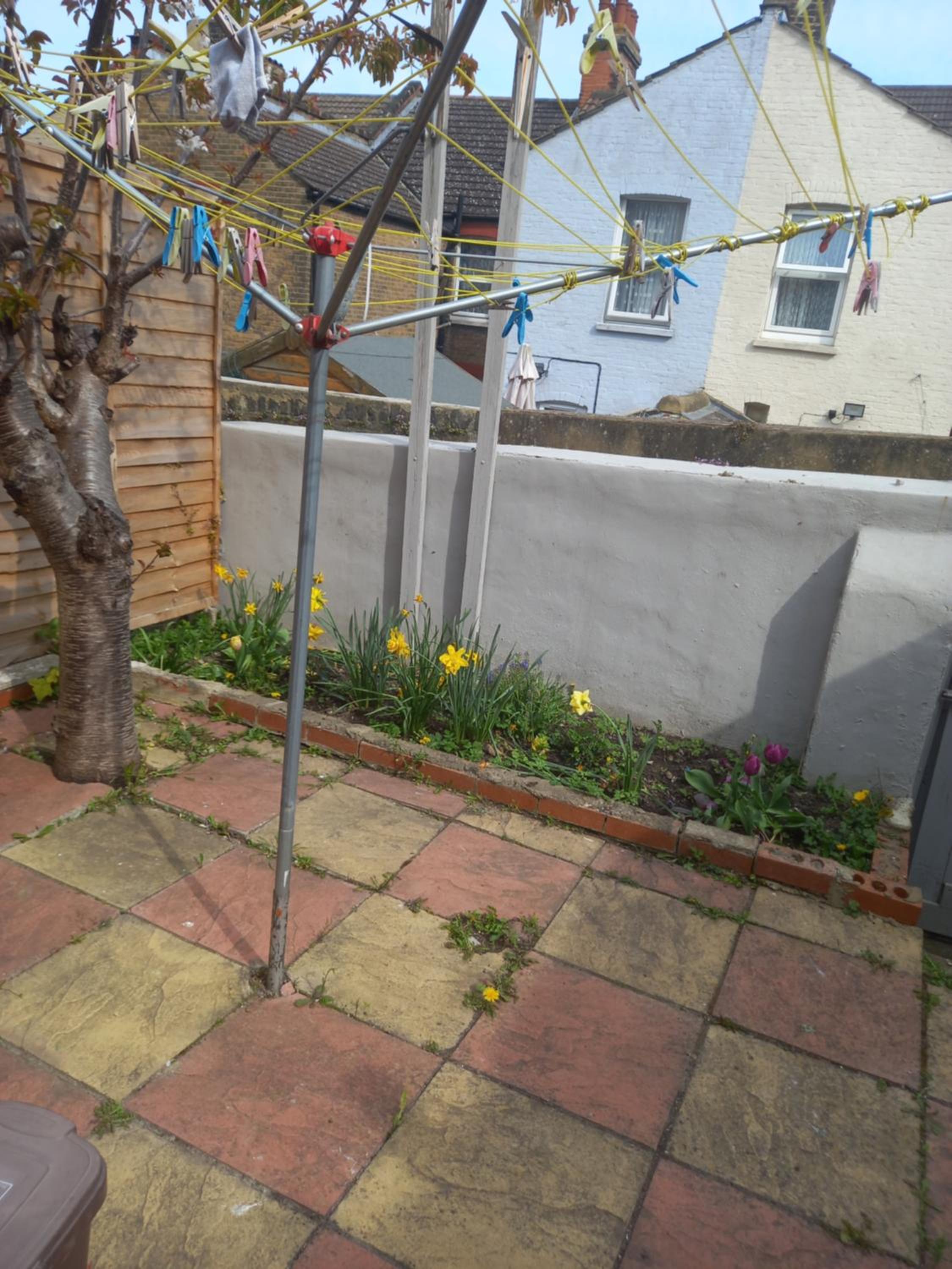 Photo 11