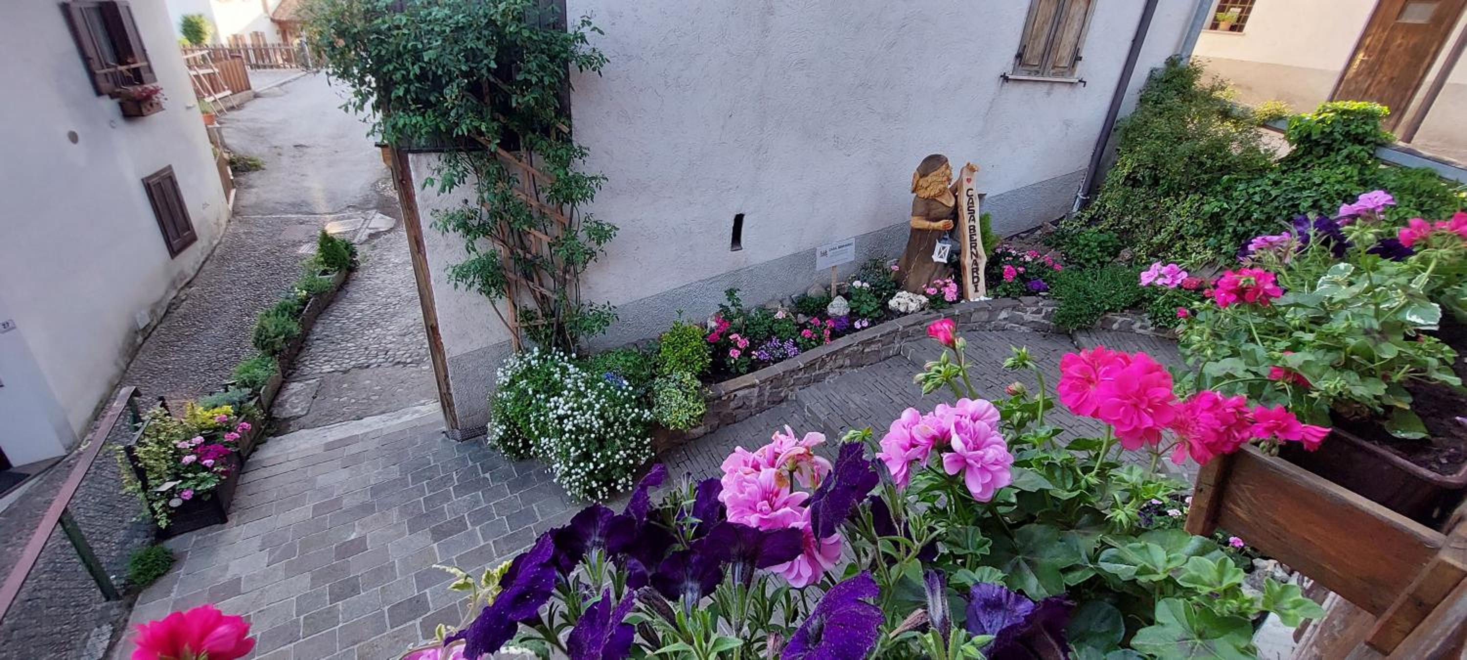 Photo 27