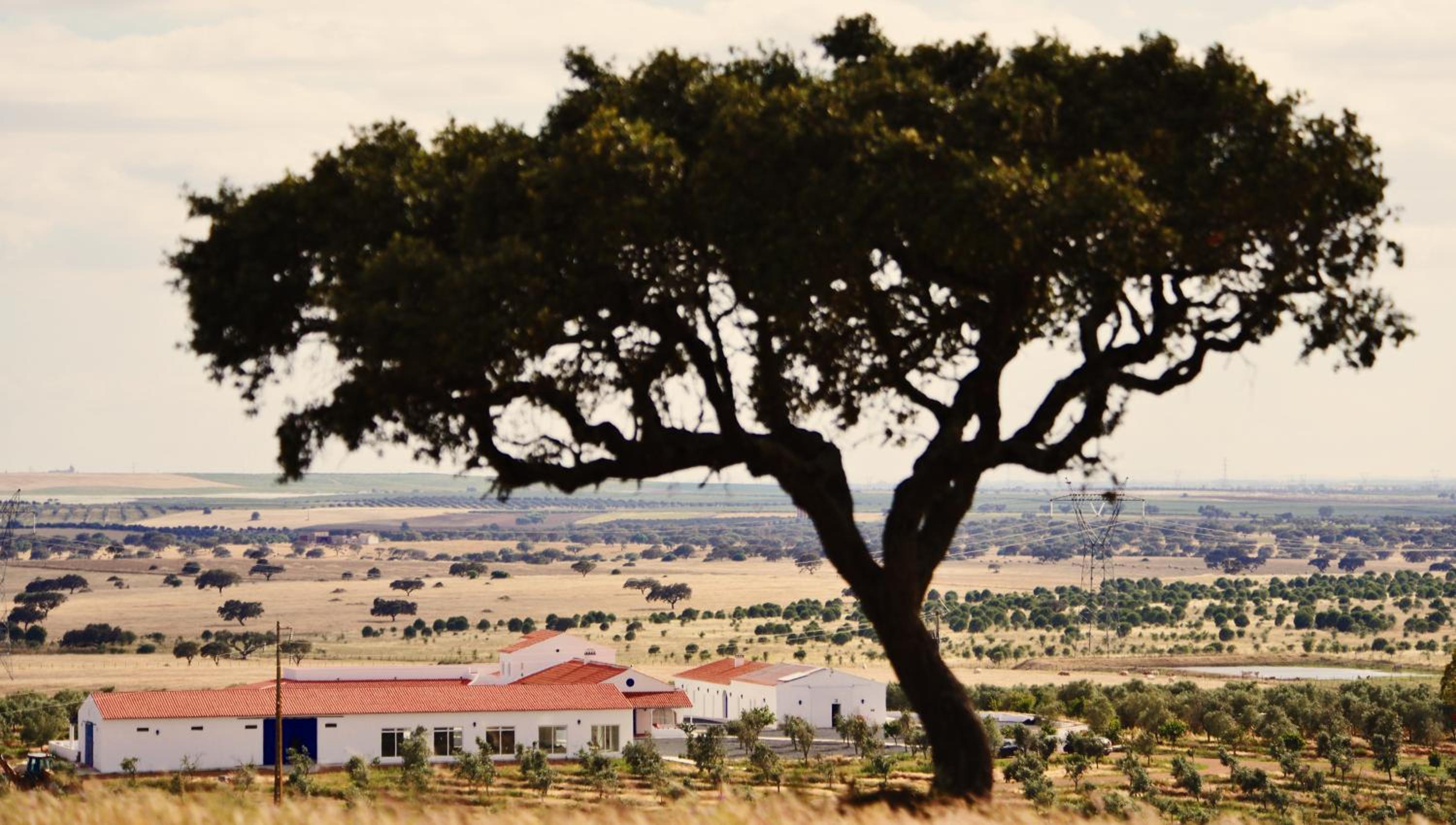 Hotel Sesmarias Turismo Rural & SPA