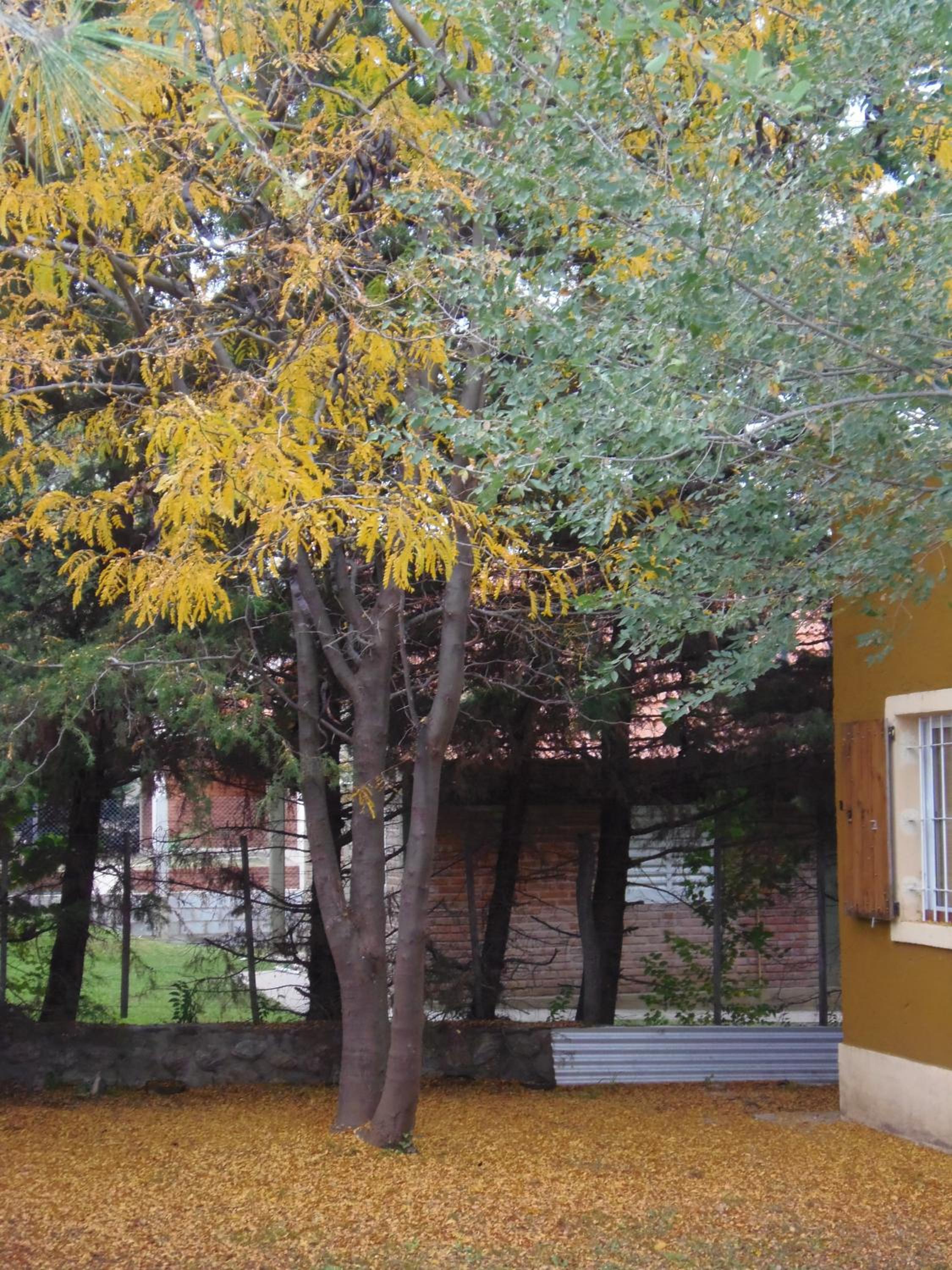 Complejo Retana
