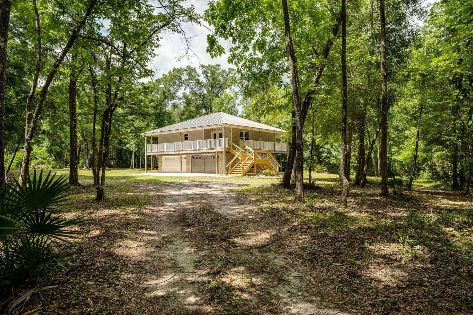 The Tree House