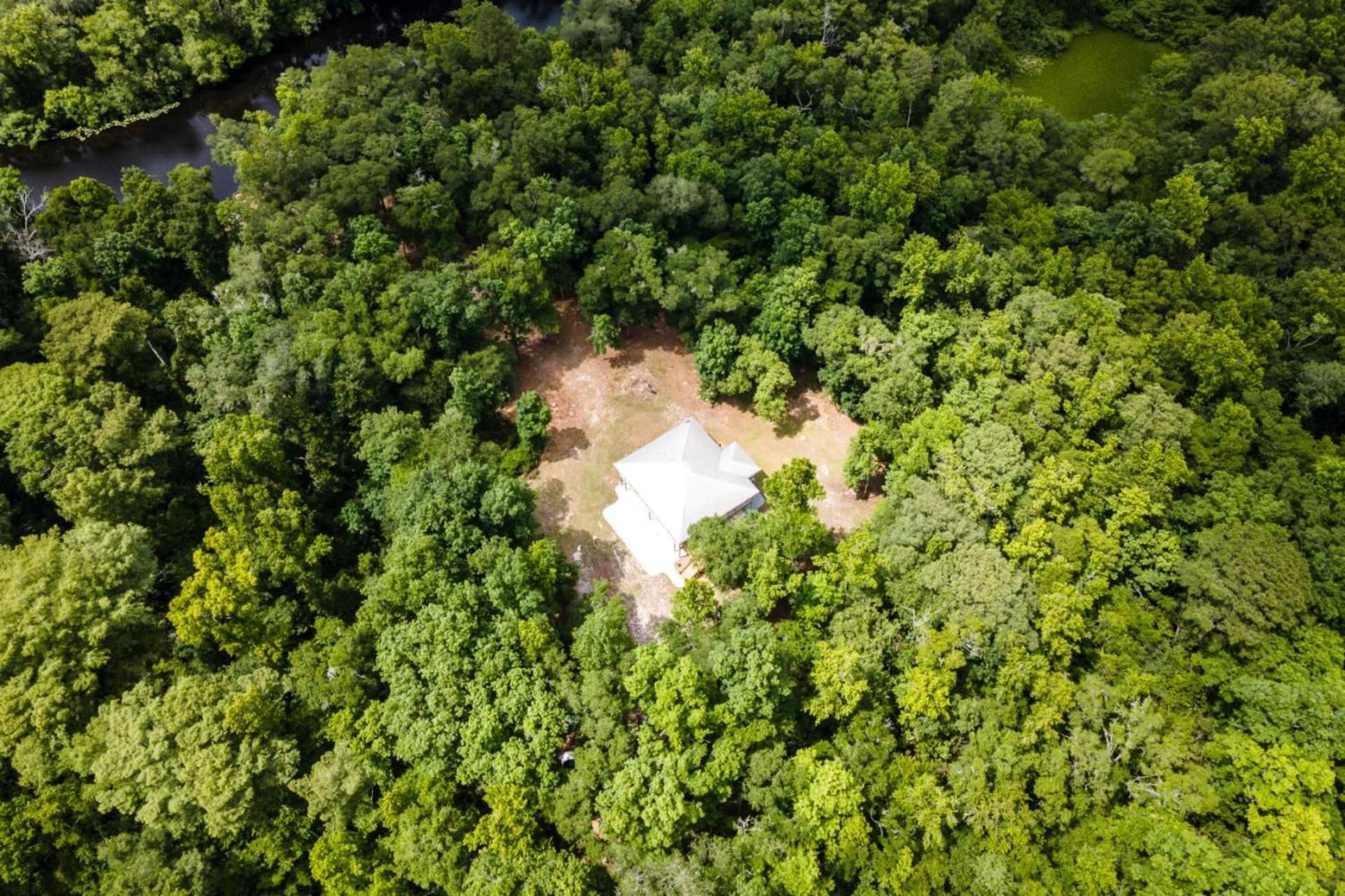 The Tree House, photo 21