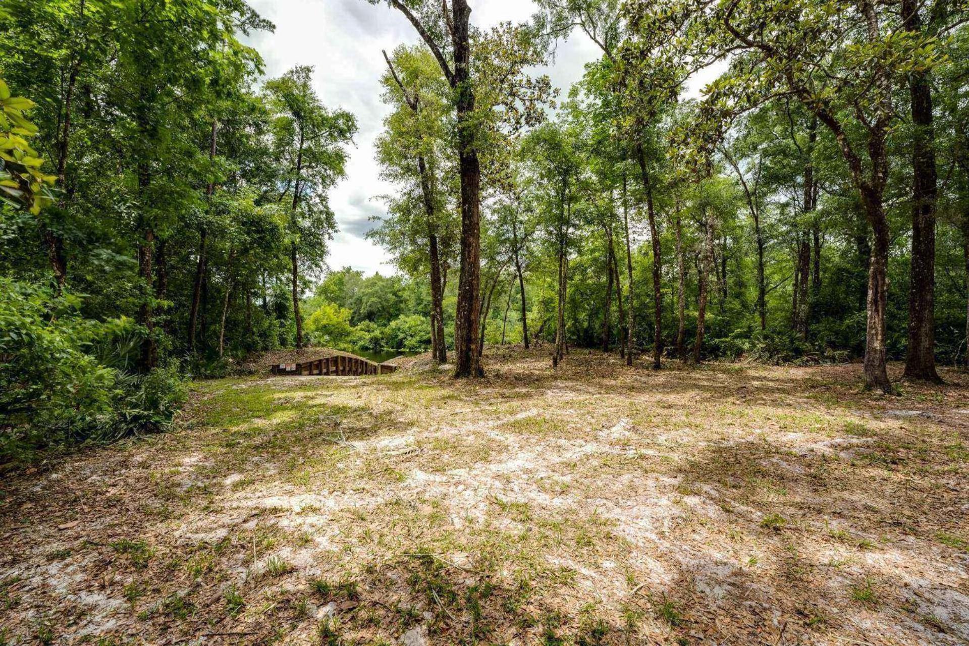 The Tree House, photo 25