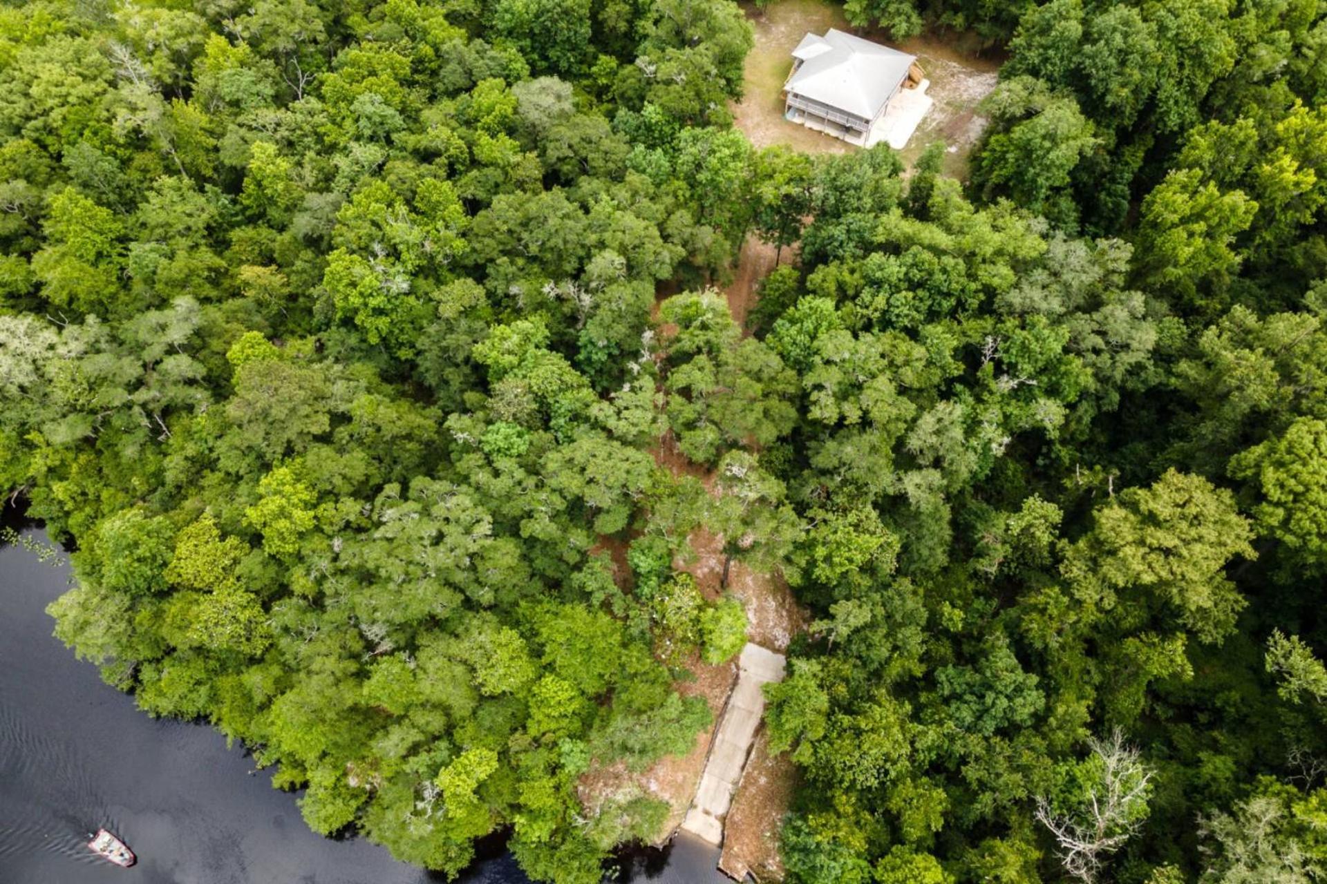 The Tree House, photo 26
