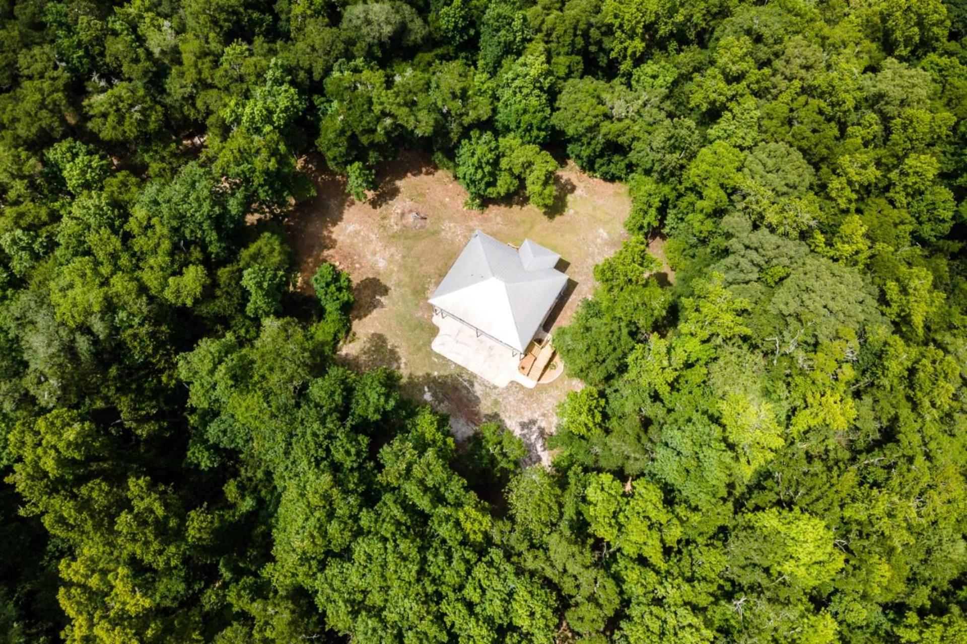 The Tree House, photo 18