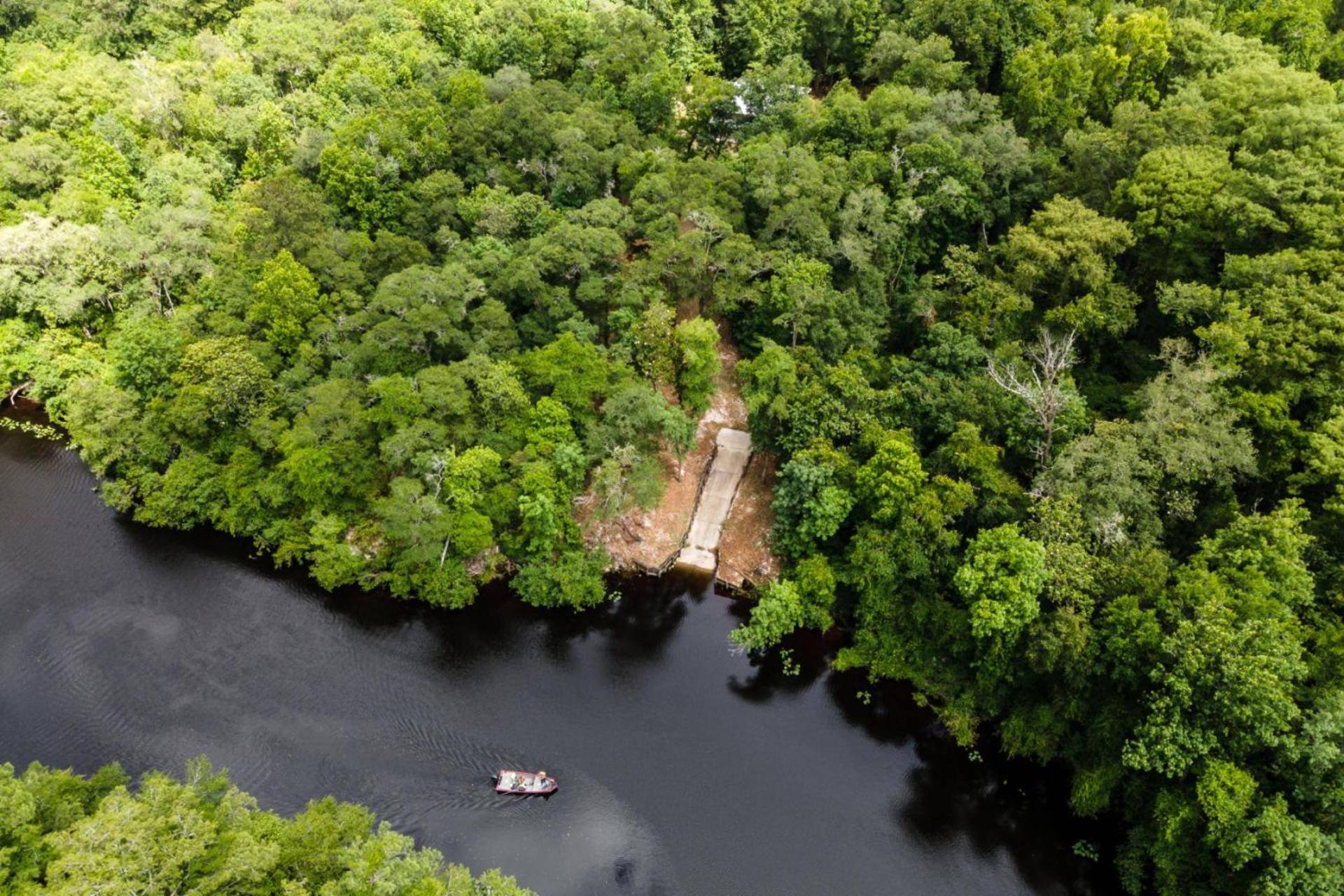 The Tree House, photo 16