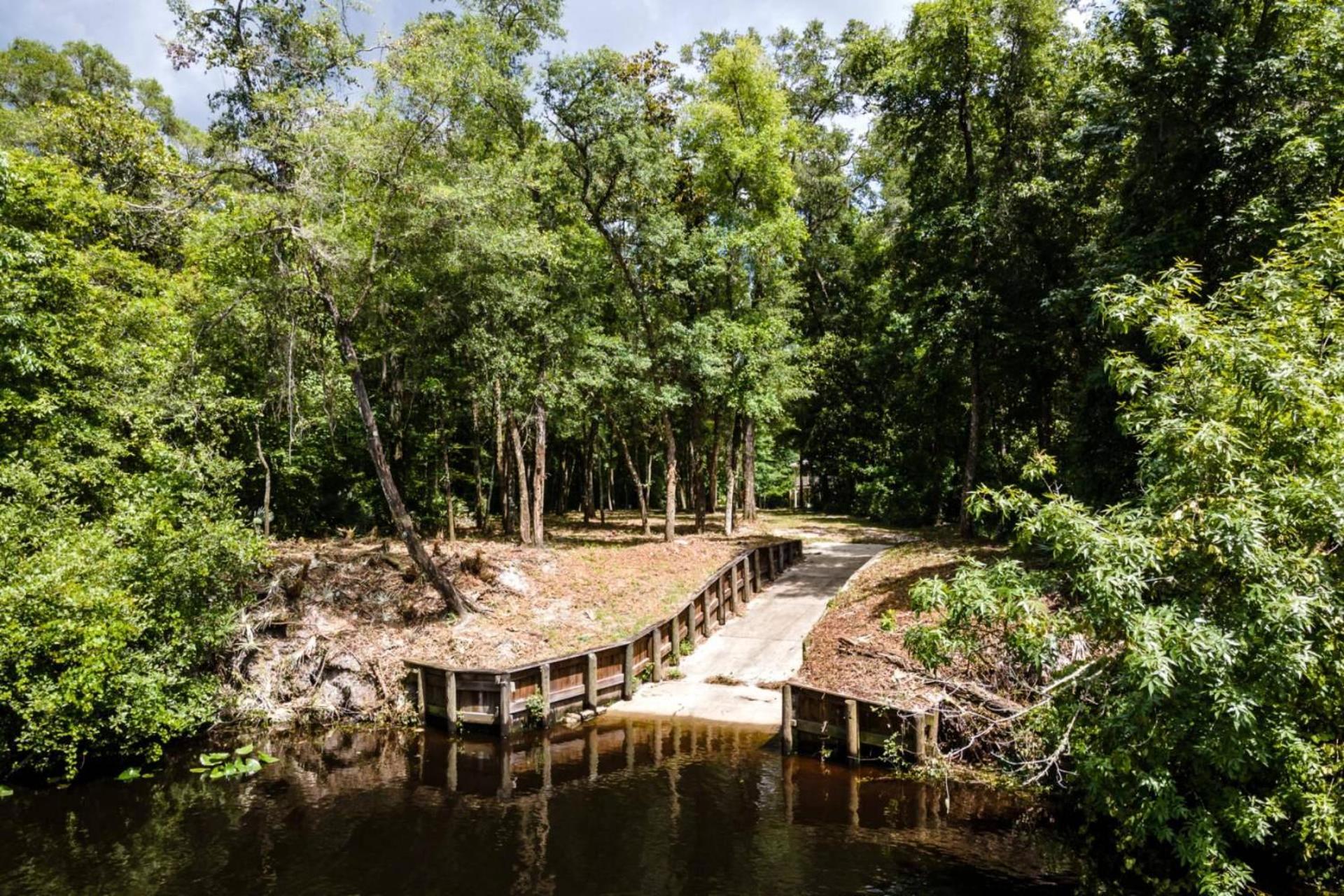 The Tree House, photo 11
