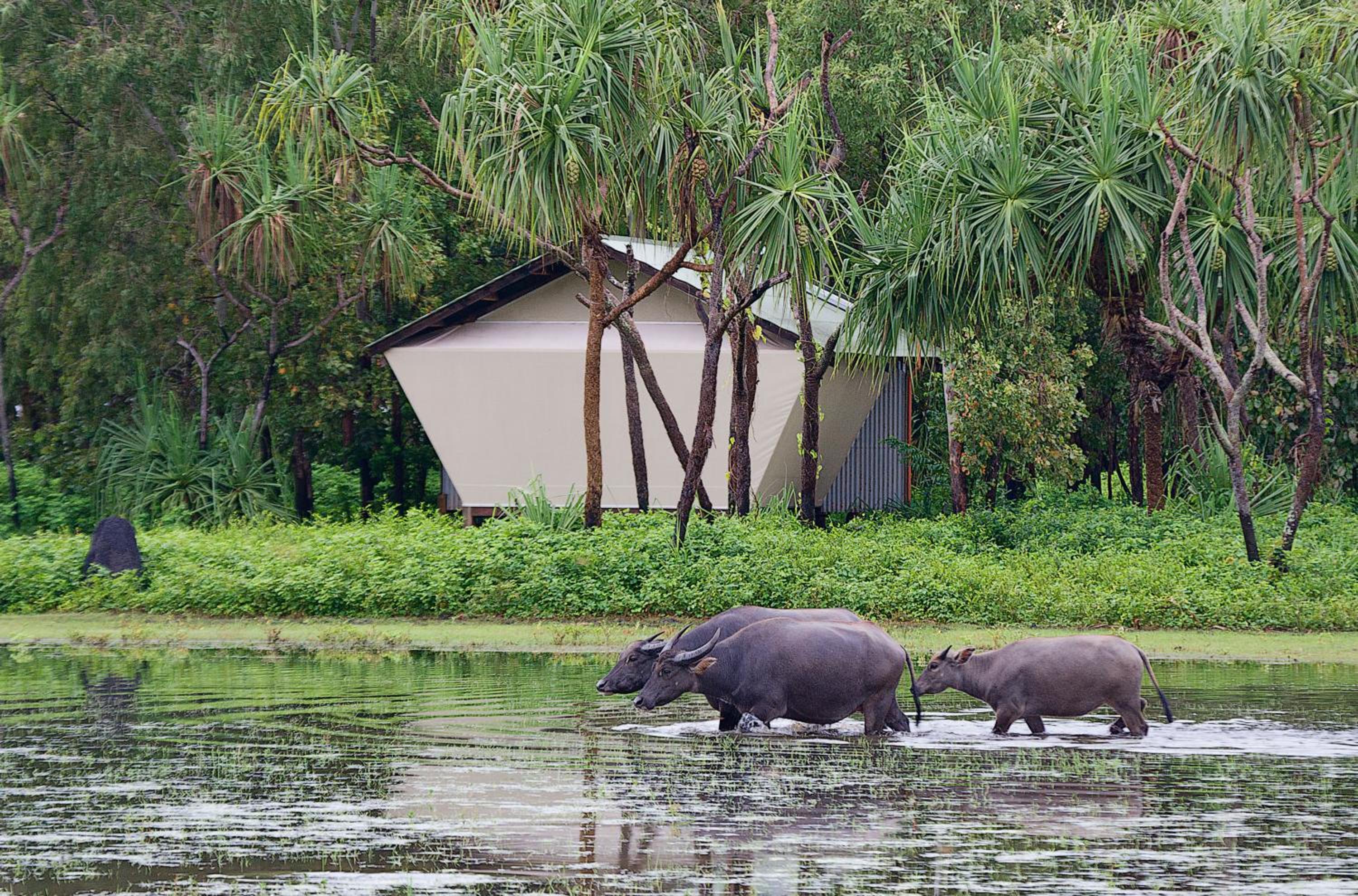 Bamurru Plains