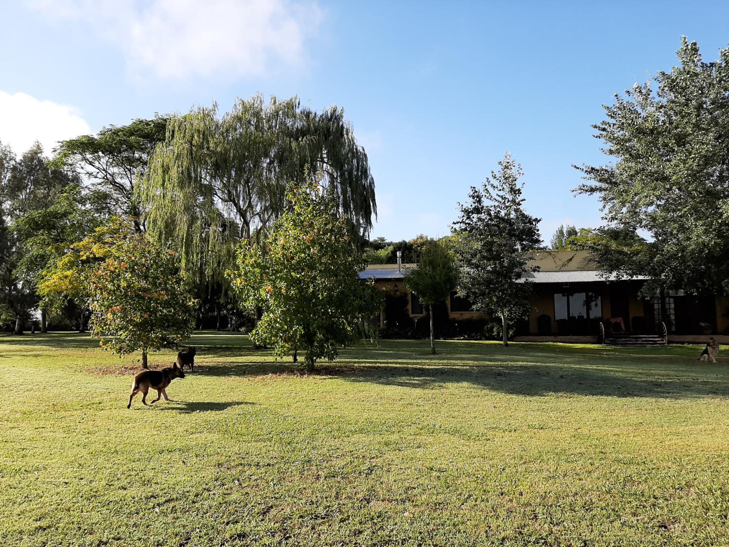 Casa rural El Encuentro vagues