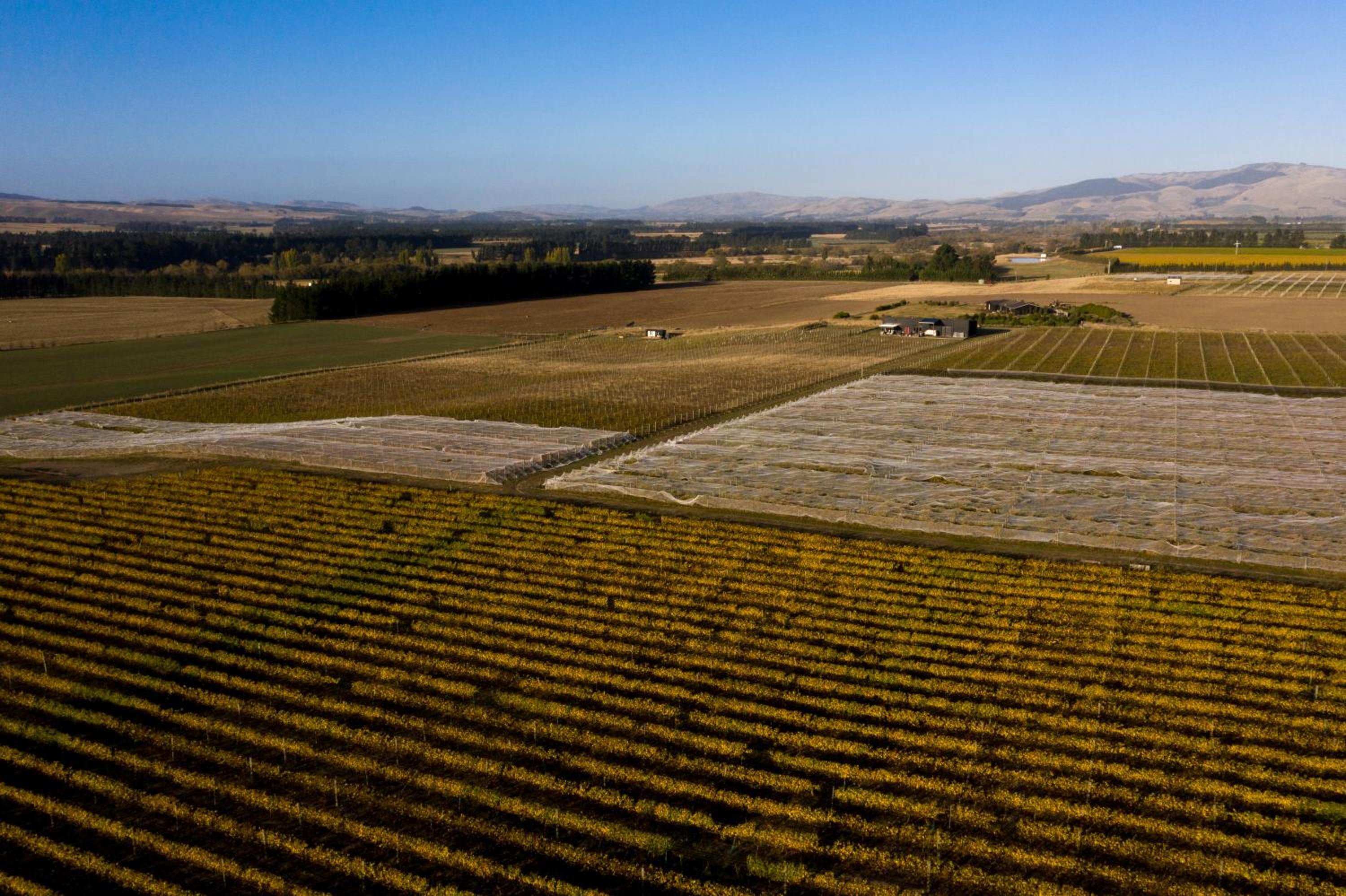 Romantic vineyard getaway on Wine Estate, with wine tasting, hot tub and amazing views view 5