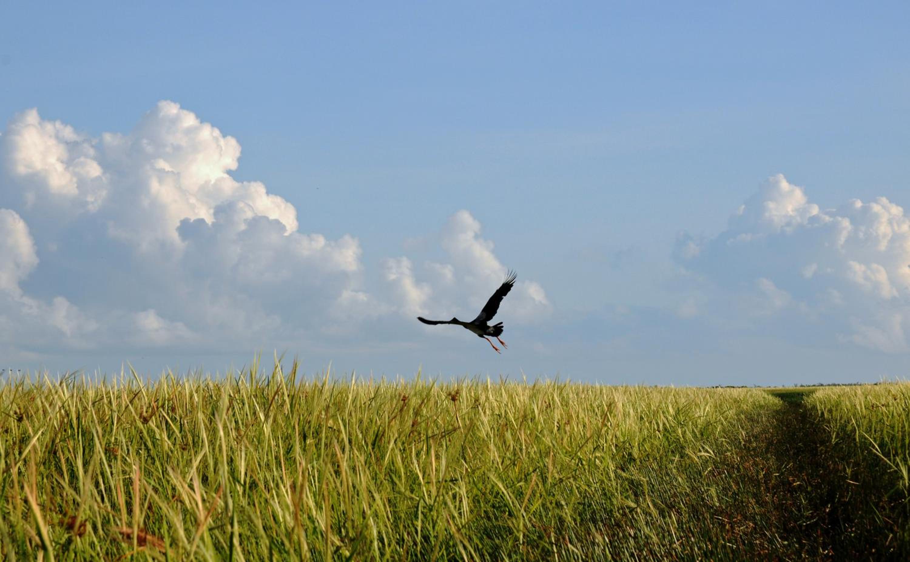 Bamurru Plains