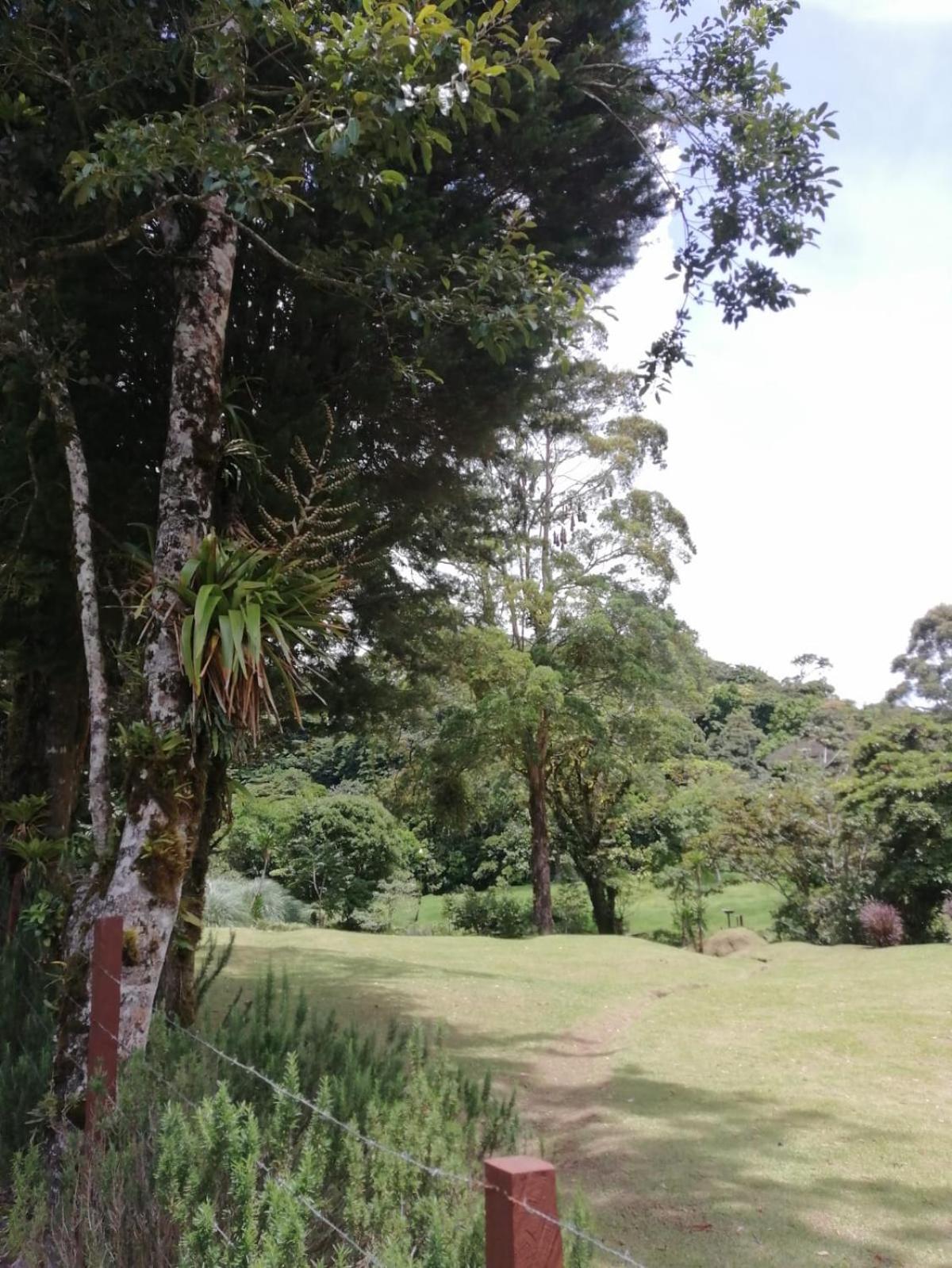 Monteverde Casa Mia, near main attractions and town!