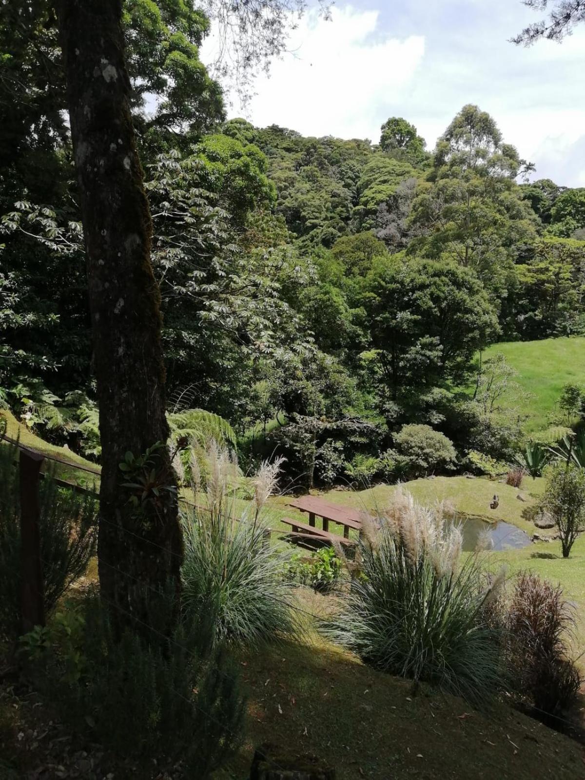 Monteverde Casa Mia, near main attractions and town!