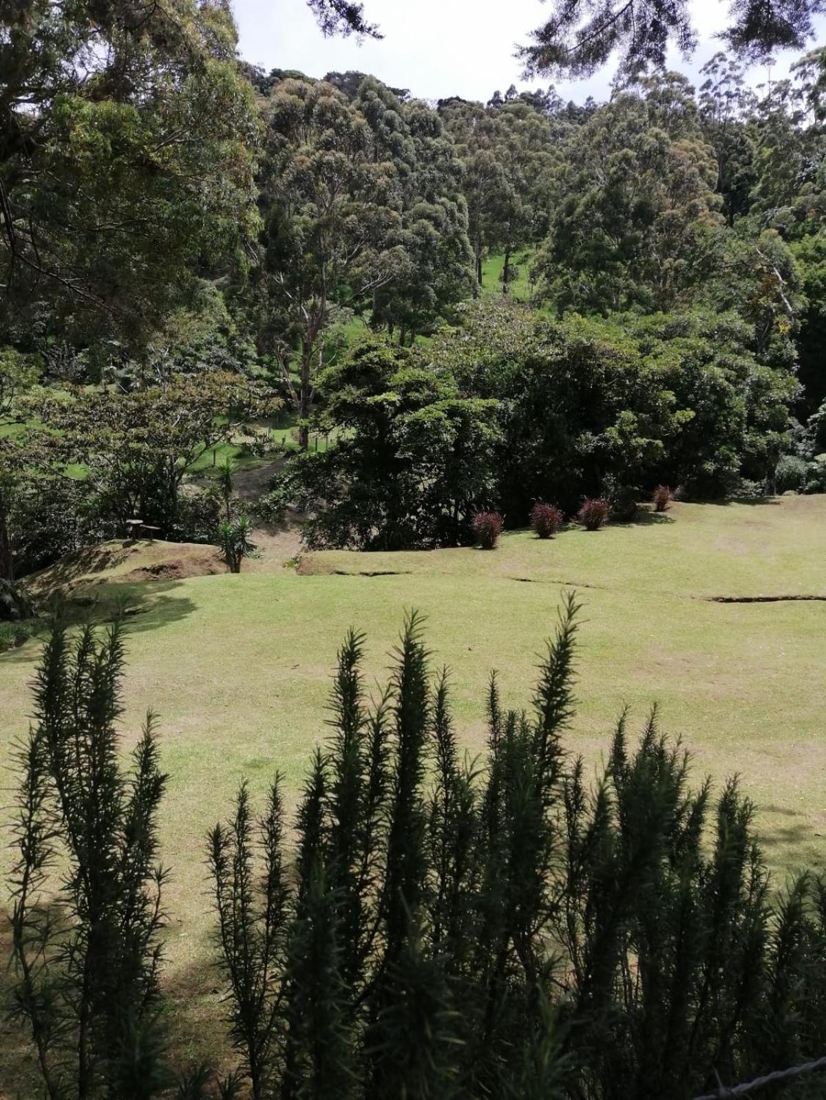 Monteverde Casa Mia, near main attractions and town!