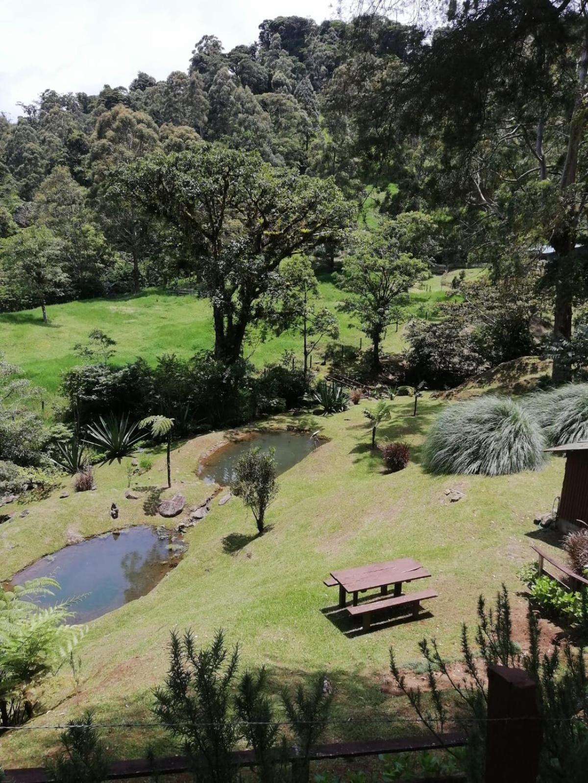 Monteverde Casa Mia, near main attractions and town!