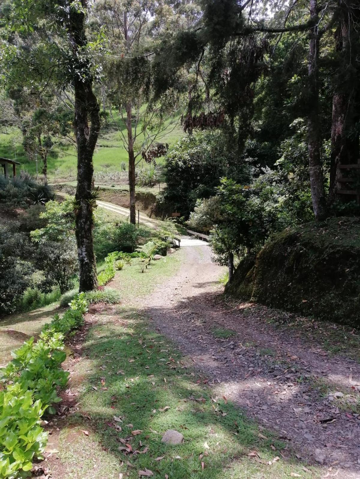 Monteverde Casa Mia, near main attractions and town!
