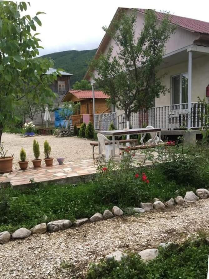 Photo 23