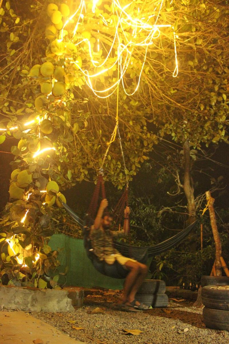 Photo 44