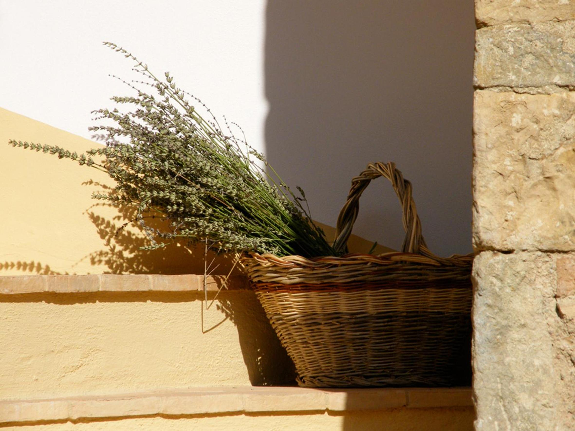 Holiday home Cielsereno view 3