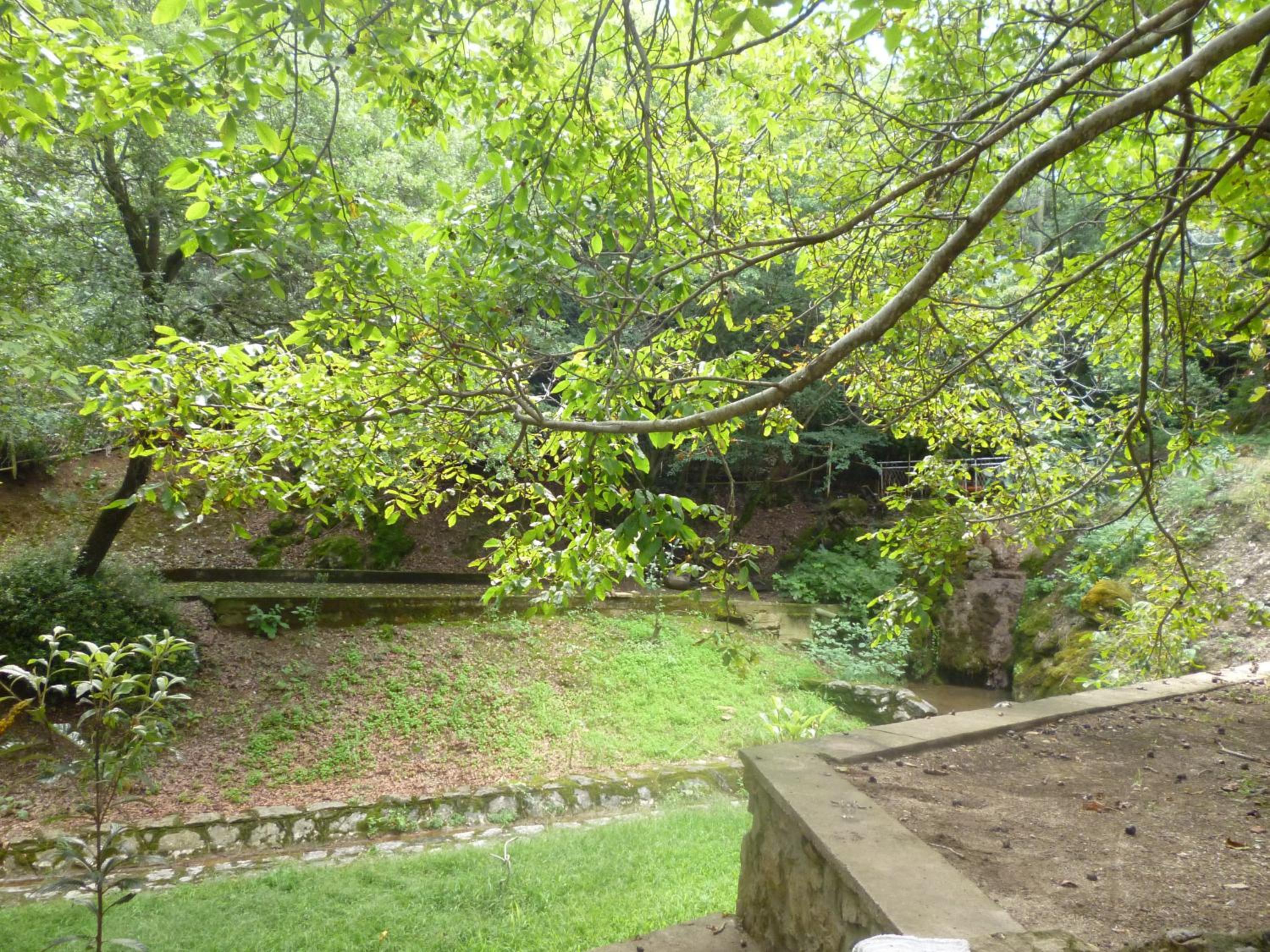 Photo 47