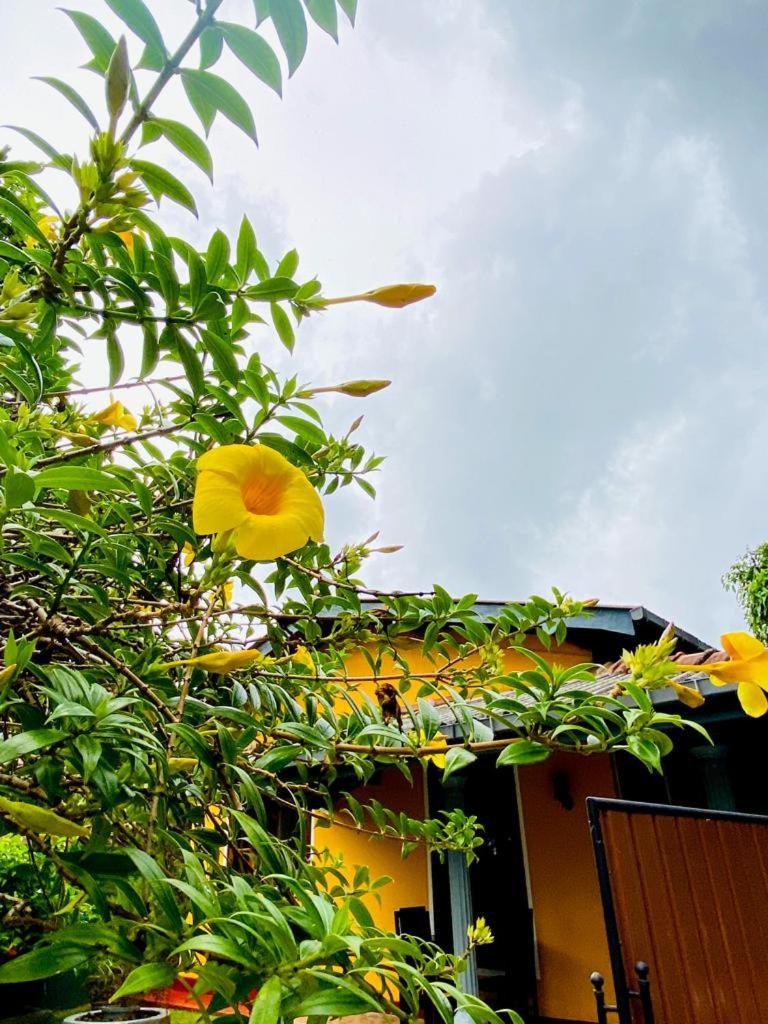 Sithija Villa view 2
